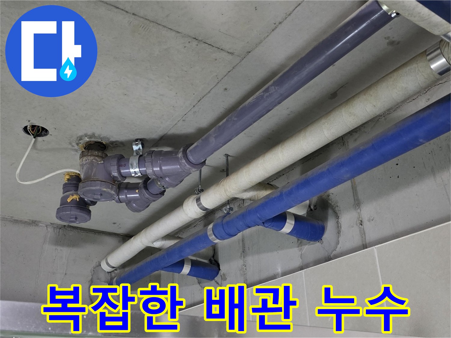 분당 운중동 상가 복잡한 배관 누수 - 정확한 위치 파악 및 보수