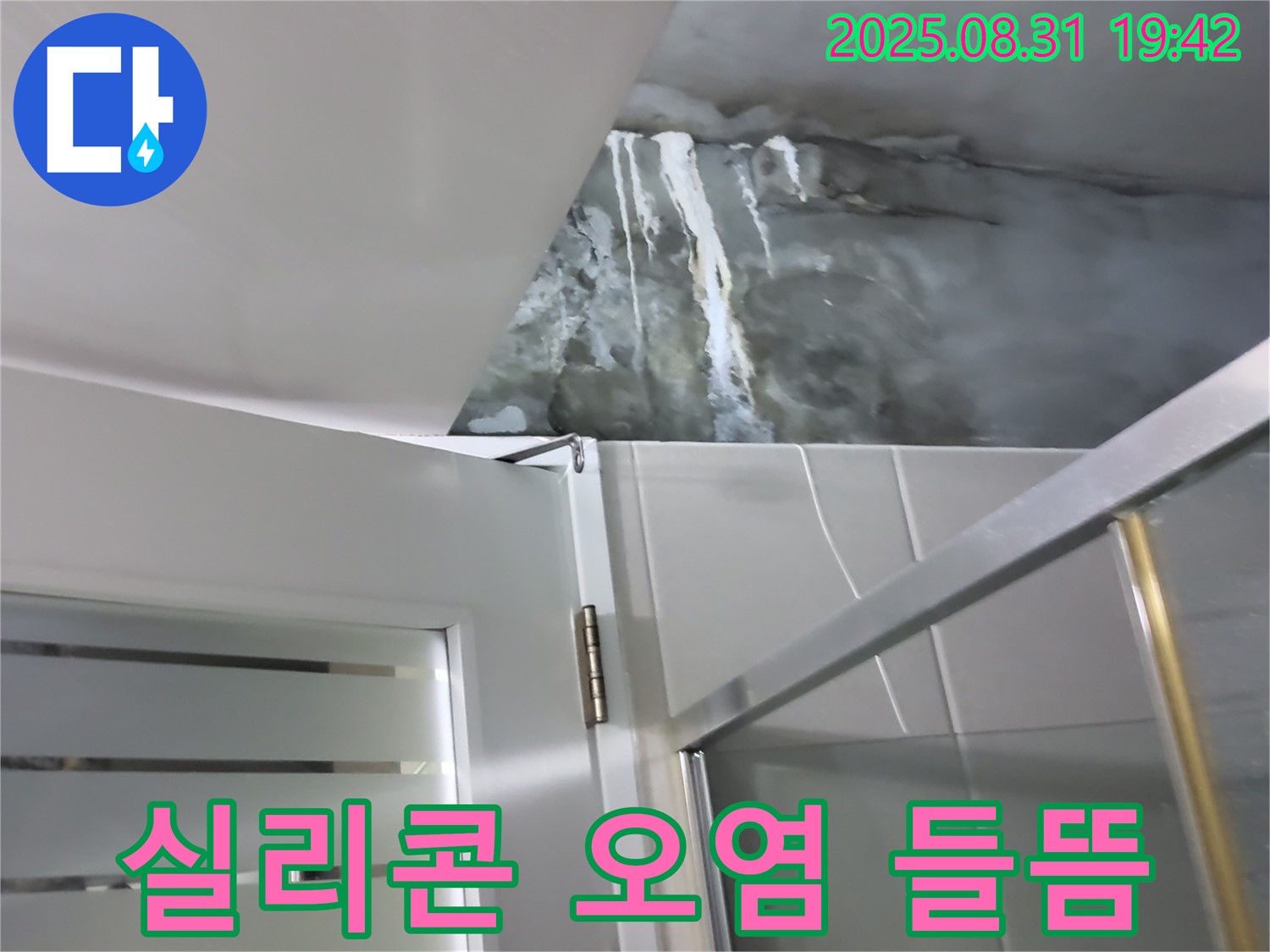 분당 운중동 - 샤워부스 벽면 실리콘 오염 및 들뜸 - 곰팡이 제거 후 재시공!