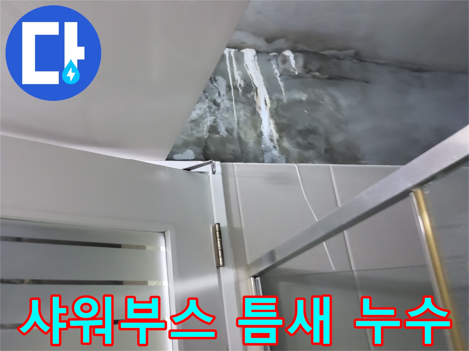 분당 운중동 아파트 샤워부스 틈새 누수 발생 - 전문적인 누수 해결 과정