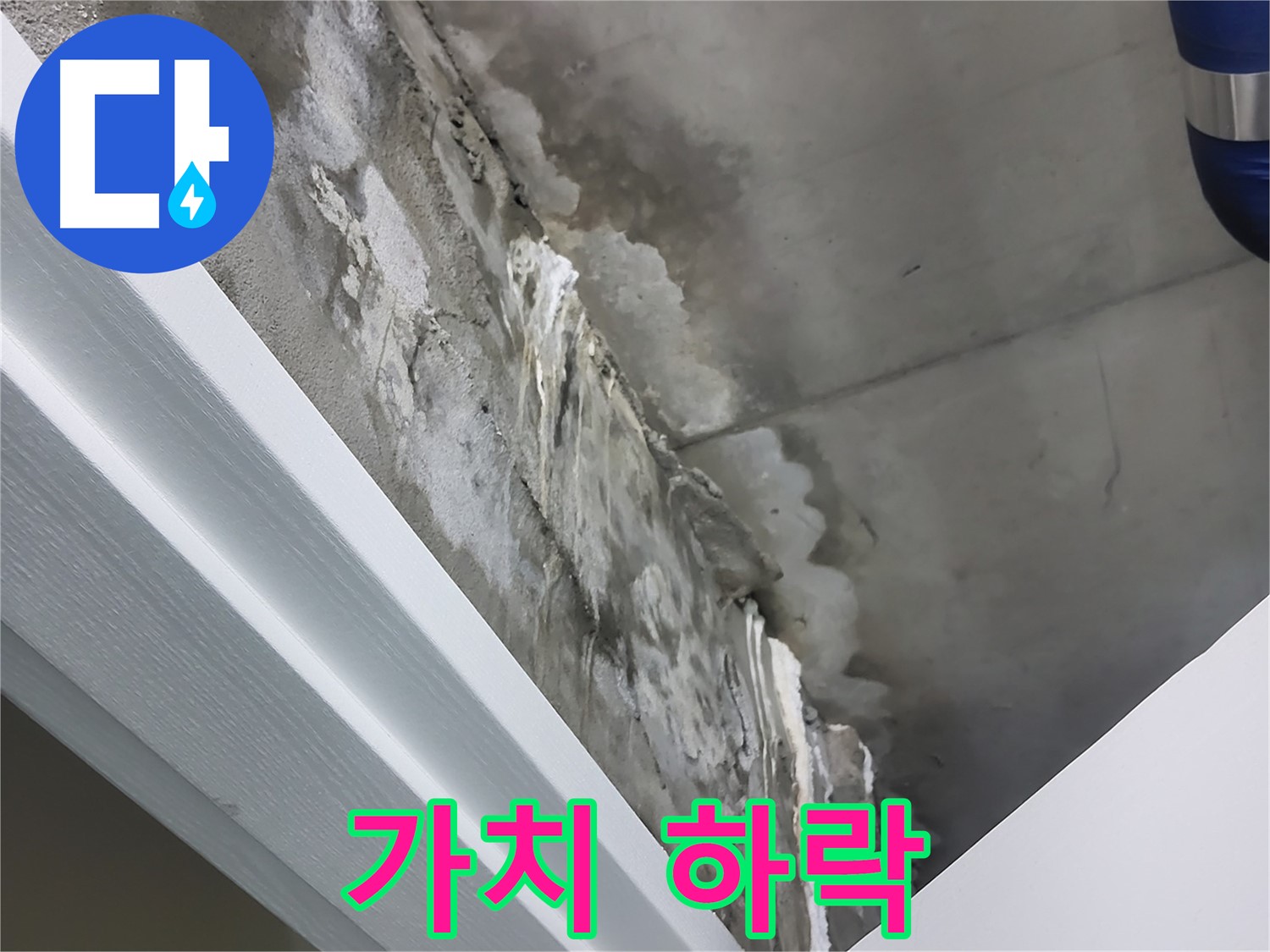 분당 운중동 - 콘크리트 천장 누수 - 건물 가치 하락 - 신속 해결