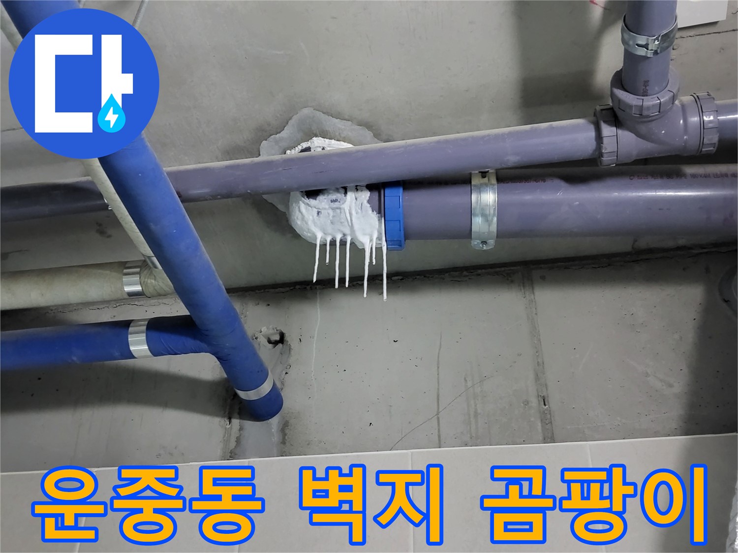 분당 운중동 하수 누수 - 벽지 곰팡이와 변색