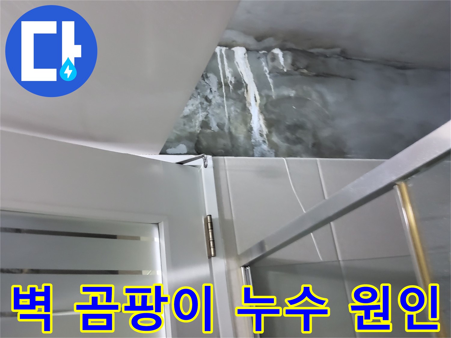 분당구 운중동 샤워부스 벽면 곰팡이 및 누수 원인 분석 - 전문적인 진단 과정