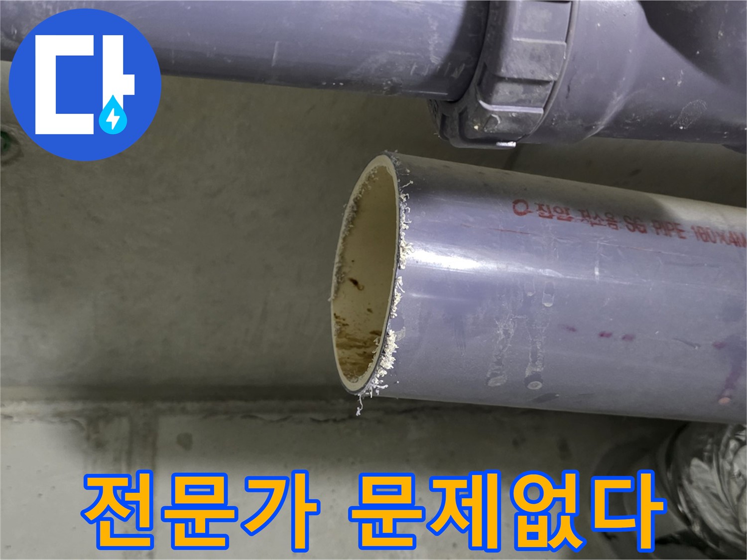 분당구 정자동 누수 현장 - 누수 문제를 해결하고 있는 전문가의 모습