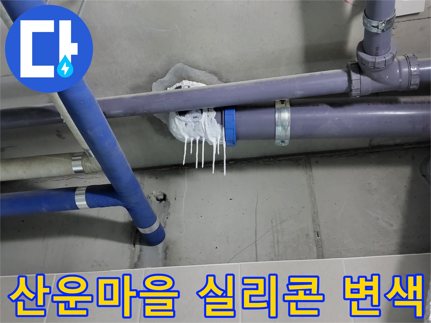 산운마을 하수 누수 - 실리콘 변색과 곰팡이 의심