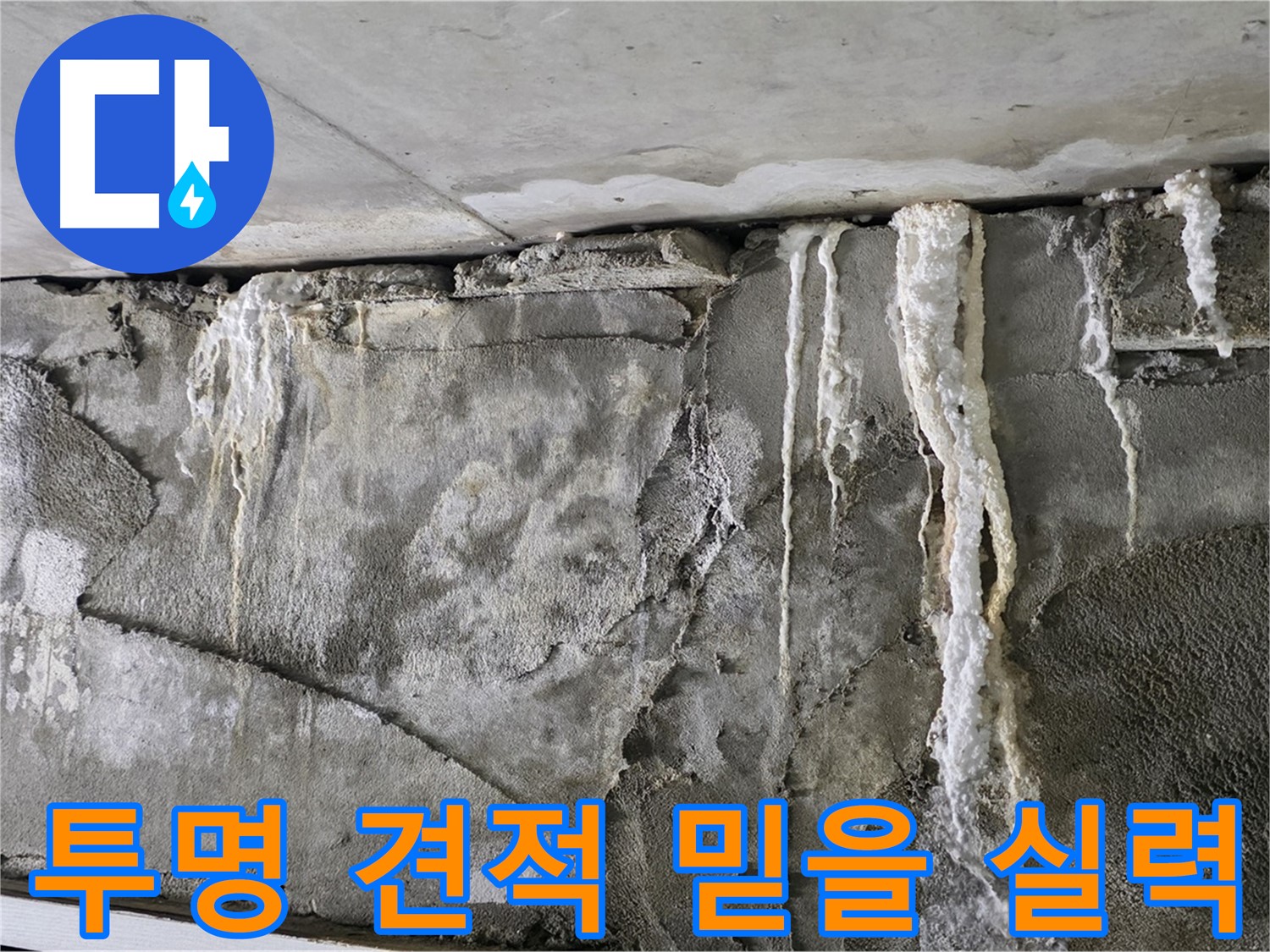 성남 누수 탐지 - 투명한 견적과 믿을 수 있는 실력 약속