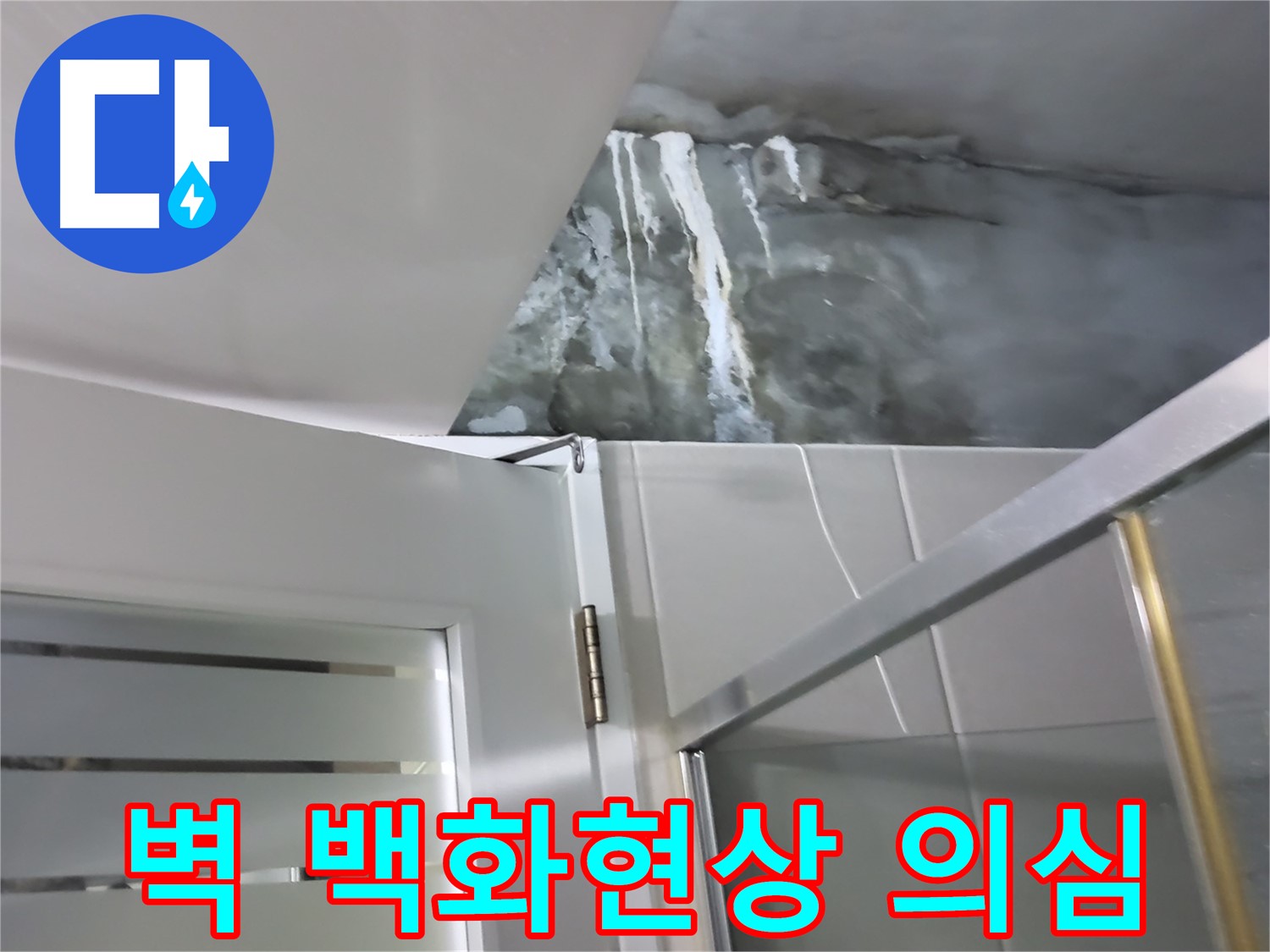 성남 분당 샤워부스 벽면 백화현상 및 누수 의심 - 정밀 점검 과정