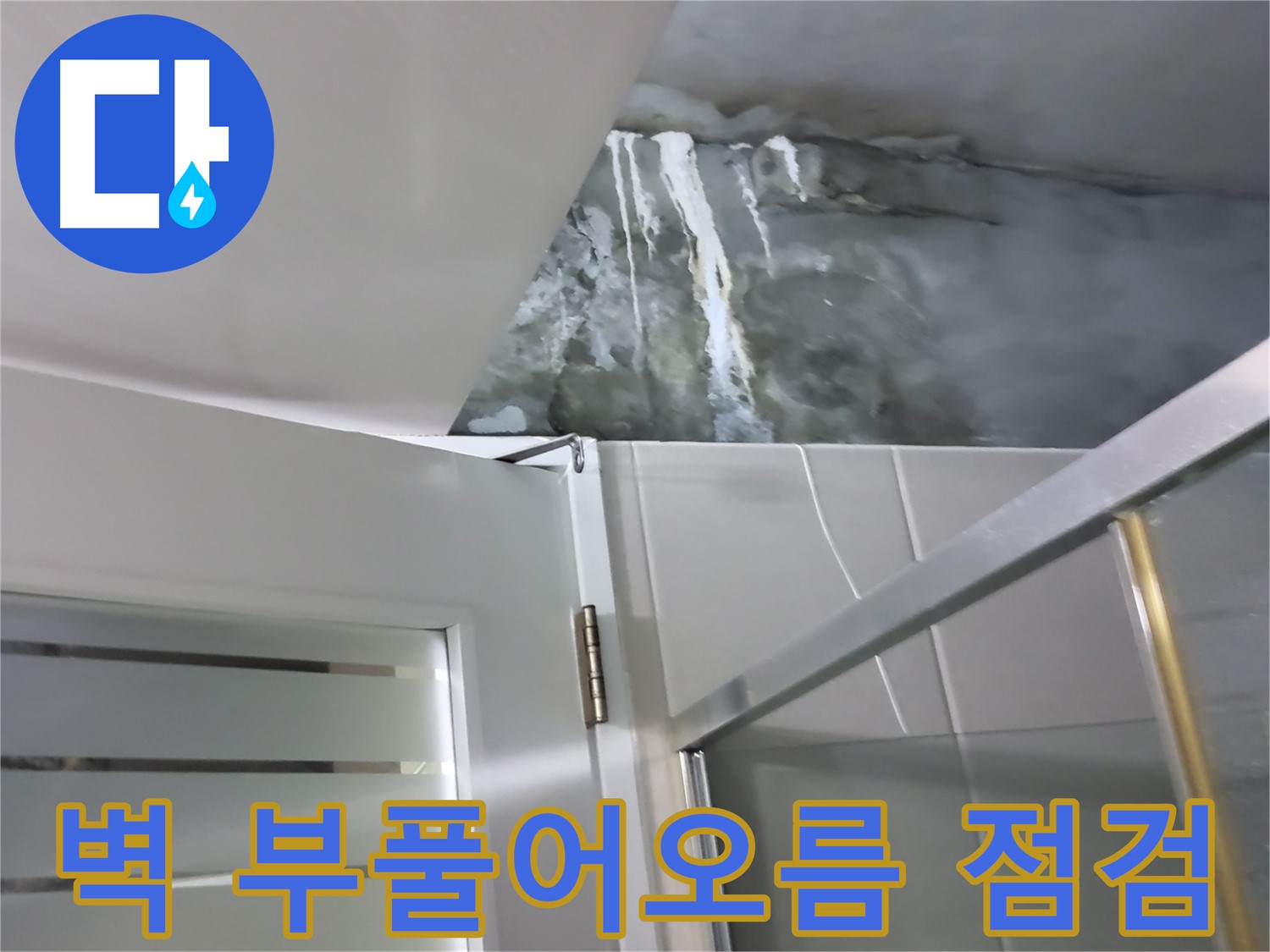 성남 분당 샤워부스 옆 벽면 부풀어오름 및 누수 가능성 점검 - 꼼꼼한 확인 과정