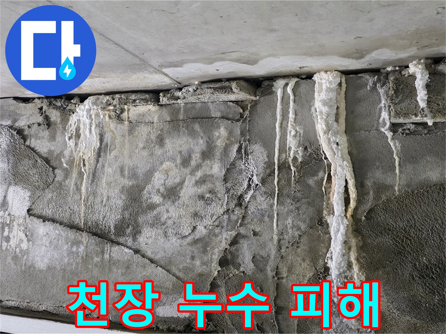 분당 누수 - 천장 누수로 인한 아랫집 피해