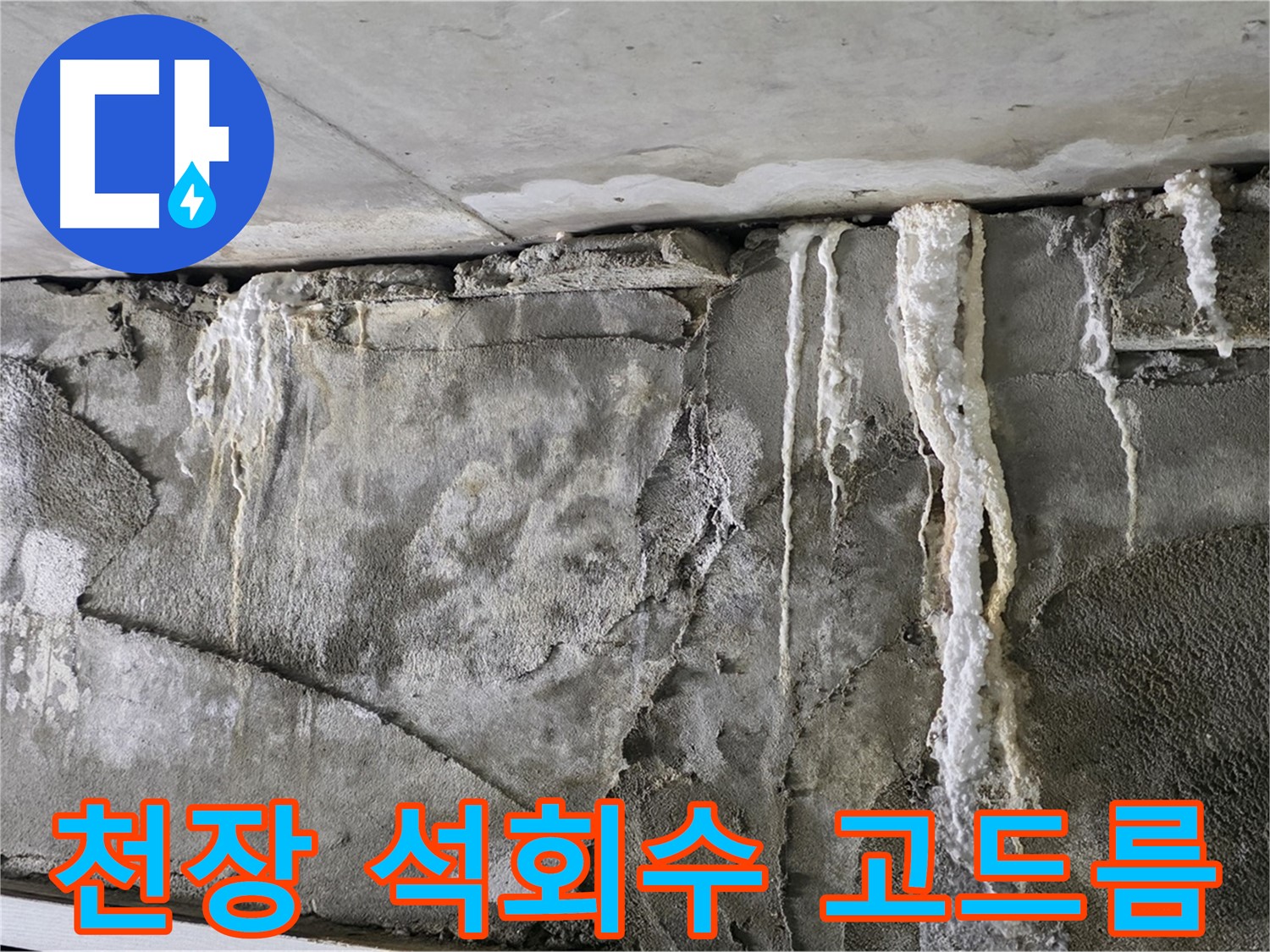 운중동 누수 - 천장 석회수 고드름, 붕괴 카운트다운