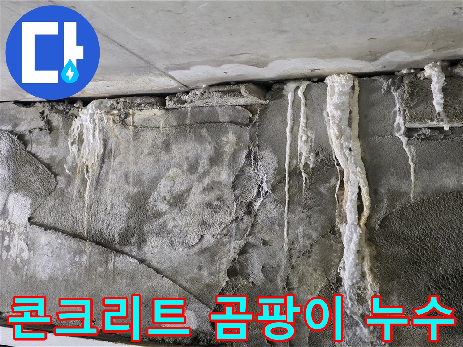 운중동 누수 - 콘크리트 벽 곰팡이 꽃, 건강 적신호