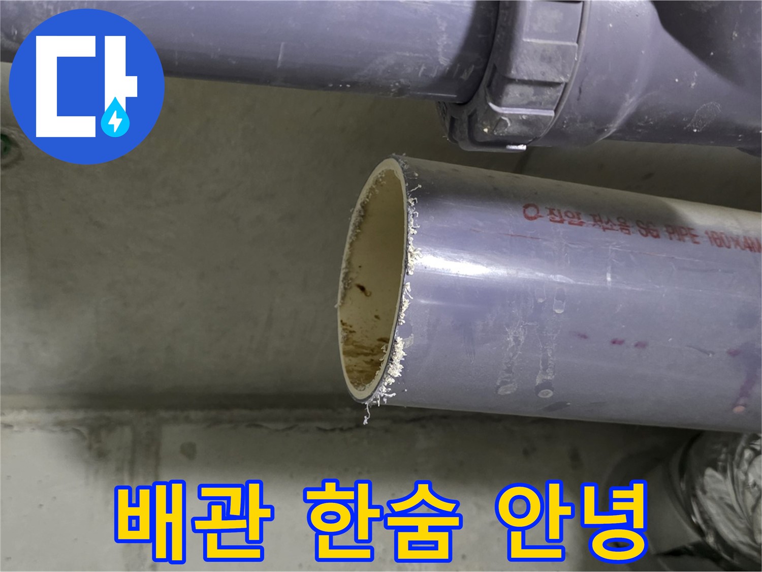 운중동 산운마을 누수 현장 - 낡은 배관의 상태를 보여주며 교체를 권유합니다 - 이제 누수와 작별할 시간!