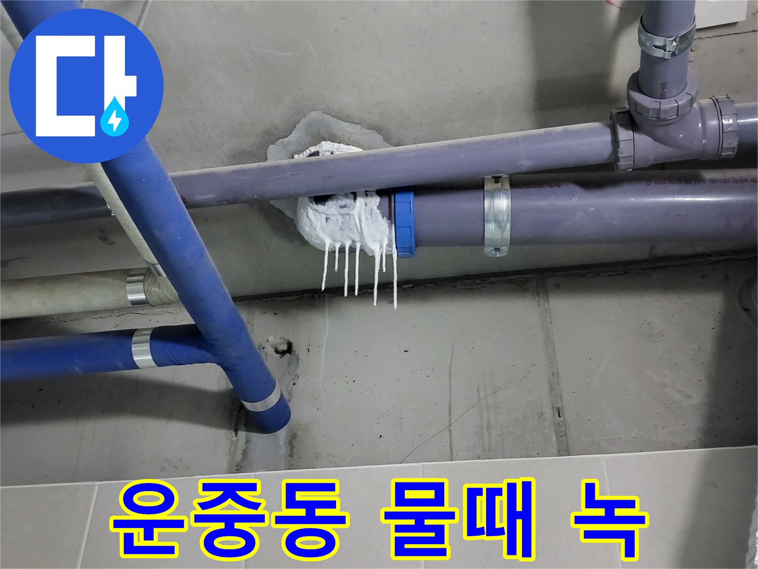 운중동 하수 누수 - 배관 연결 부위 물때와 녹