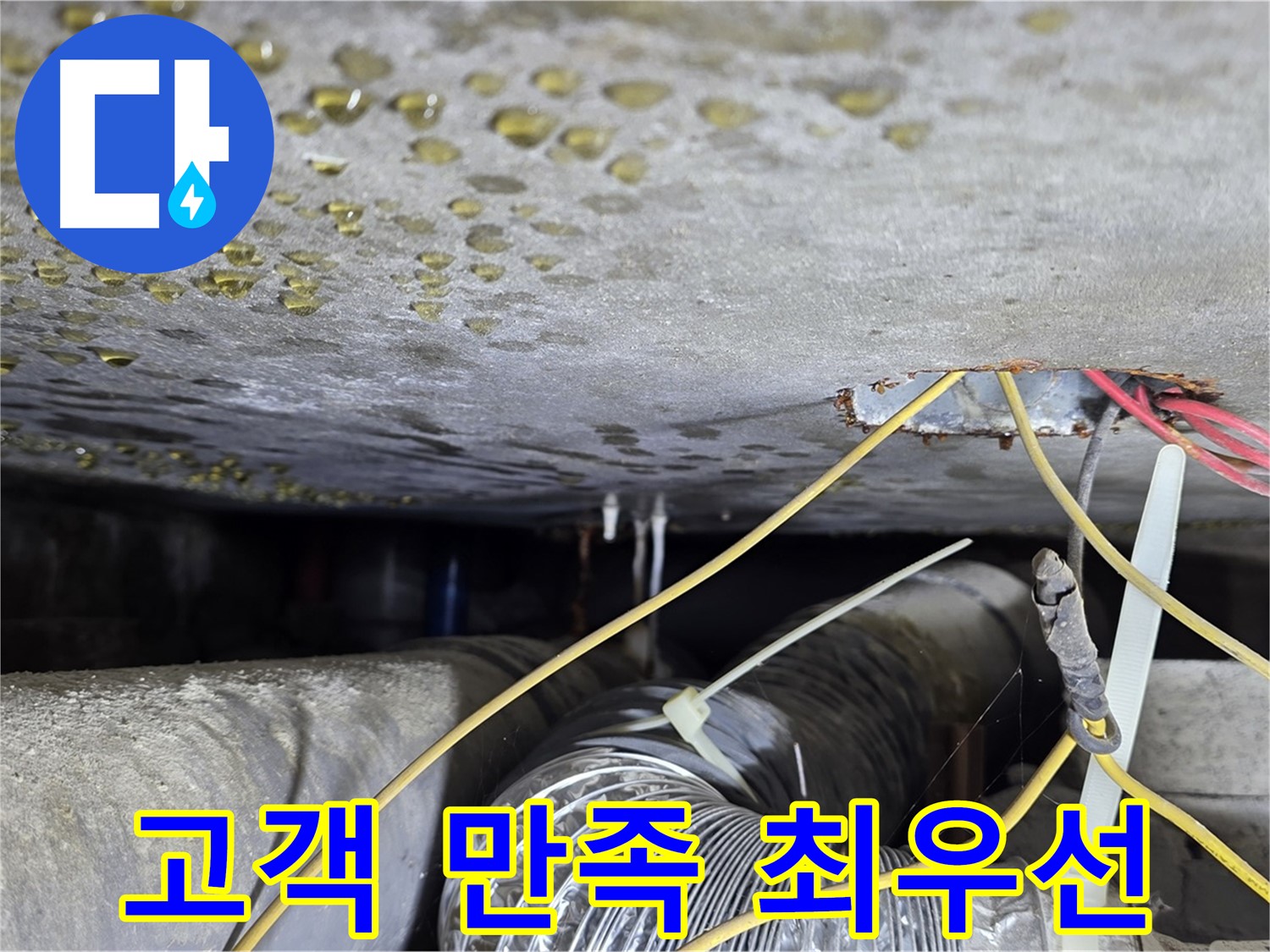 고객 만족 최우선 누수 해결 - 콘크리트 균열과 배관 문제 해결