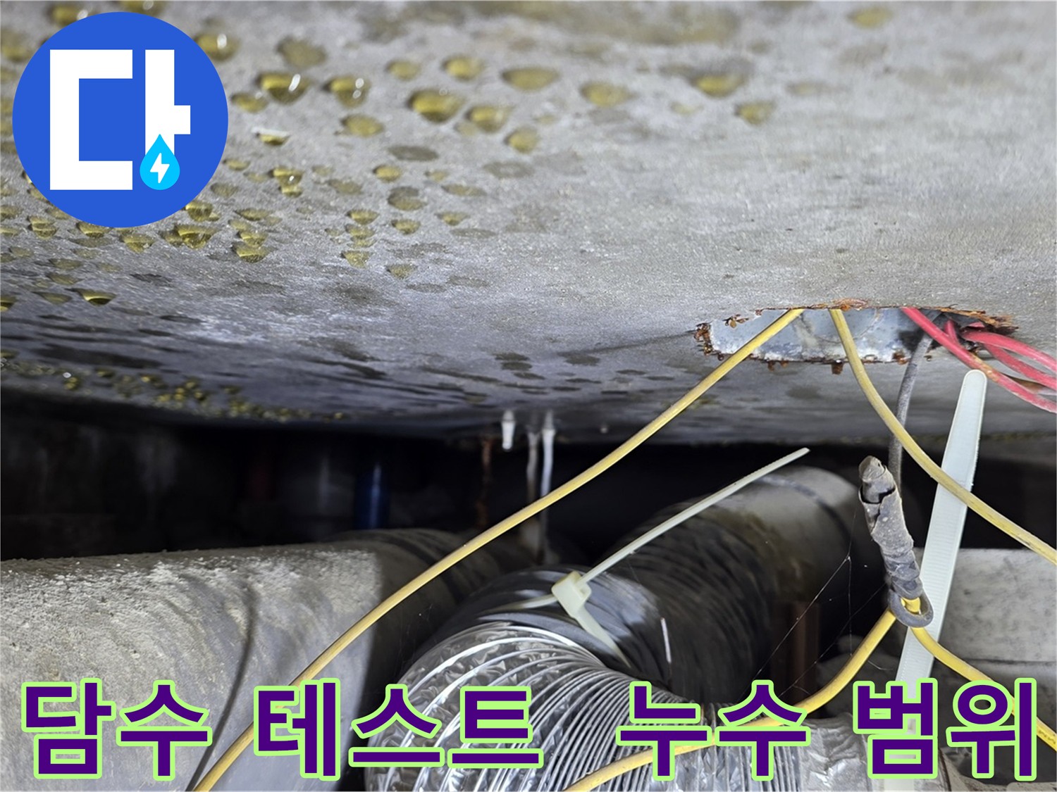 능동 누수 범위 확인 - 콘크리트 균열과 배관 주변 전체 누수