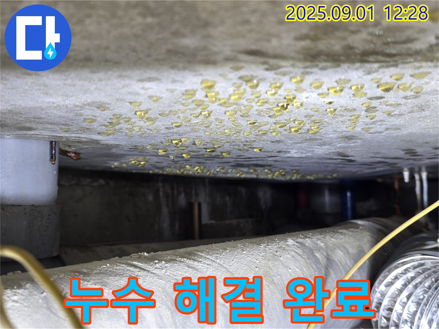 광진구 능동 아성빌라트 누수 해결 완료 - 쾌적한 보금자리
