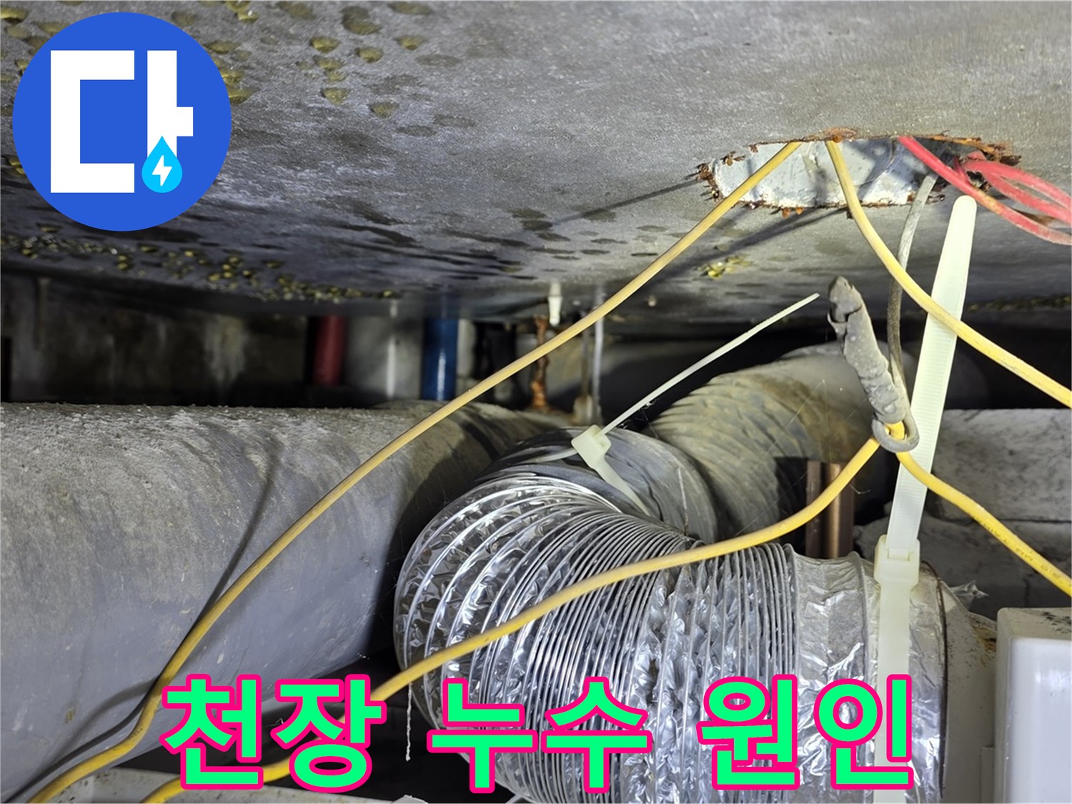광진구 능동 아성빌라트 천장 누수 - 누수 원인 탐지 및 해결 과정 상세 촬영