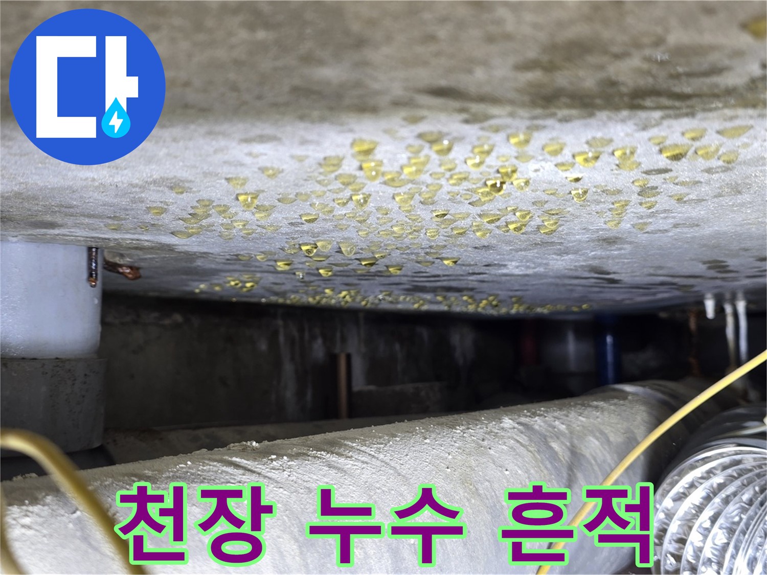 광진구 능동 아성빌라트 천장 누수 현장 - 누수 흔적과 배관 상태를 보여주는 이미지