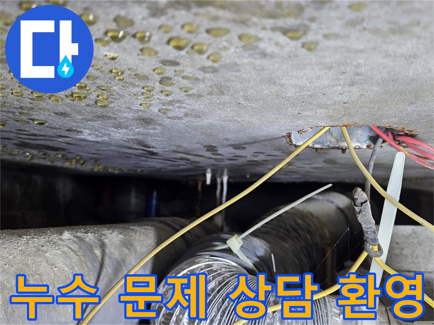 누수 문제 상담 환영 - 콘크리트 균열 및 배관 문제 관련 모든 누수 상담