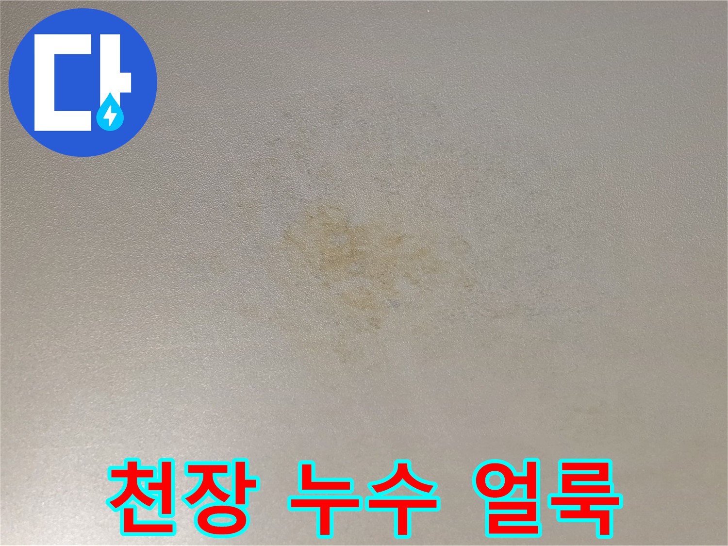 천장 누수 얼룩 - 능동 아성빌라트 누수 문제 해결 과정