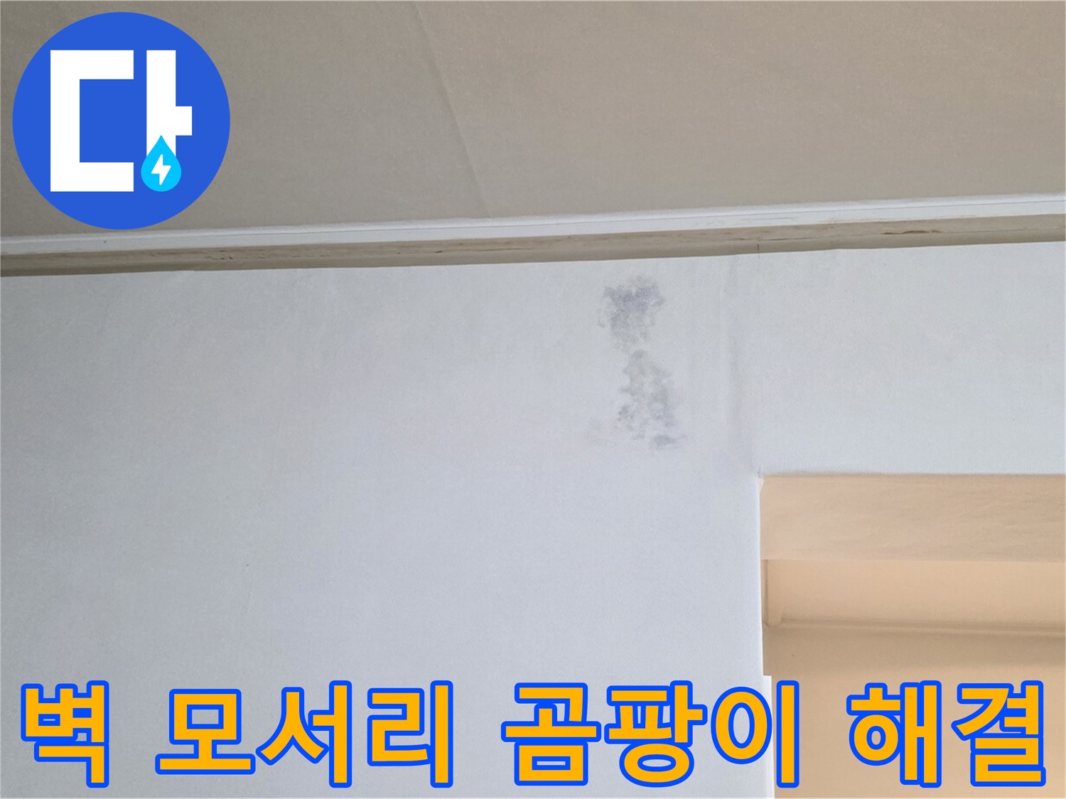 벽 모서리 곰팡이 - 누수 문제 해결 전문가가 곰팡이 문제를 해결합니다.