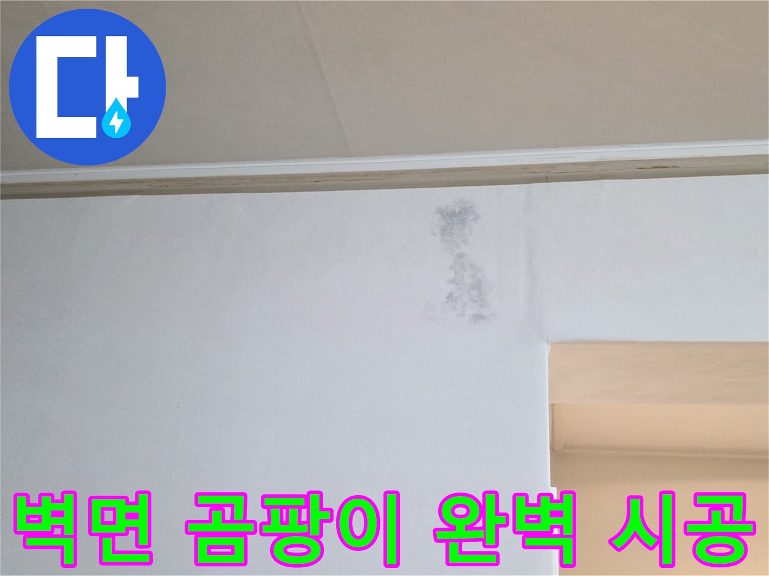 벽면 곰팡이 - 재발 없는 완벽 시공으로 곰팡이 문제를 해결합니다.