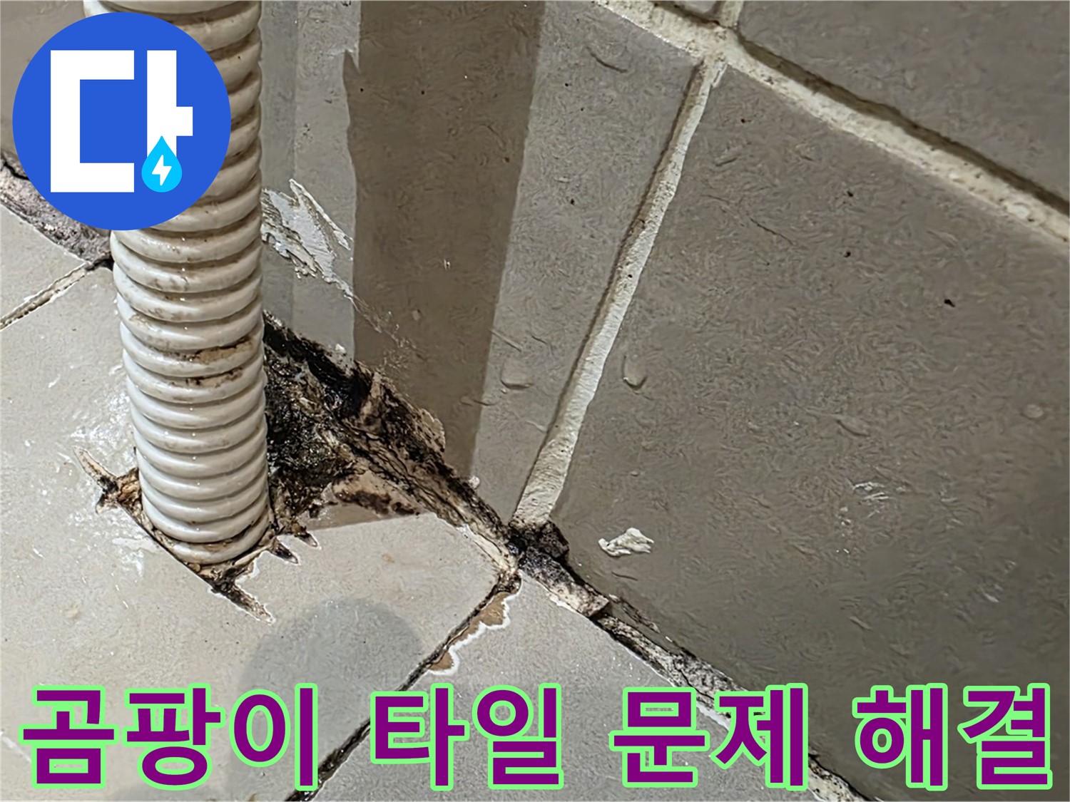 용산구 상가 화장실 누수 - 배관 주변 곰팡이와 타일 들뜸 문제 해결 전문가