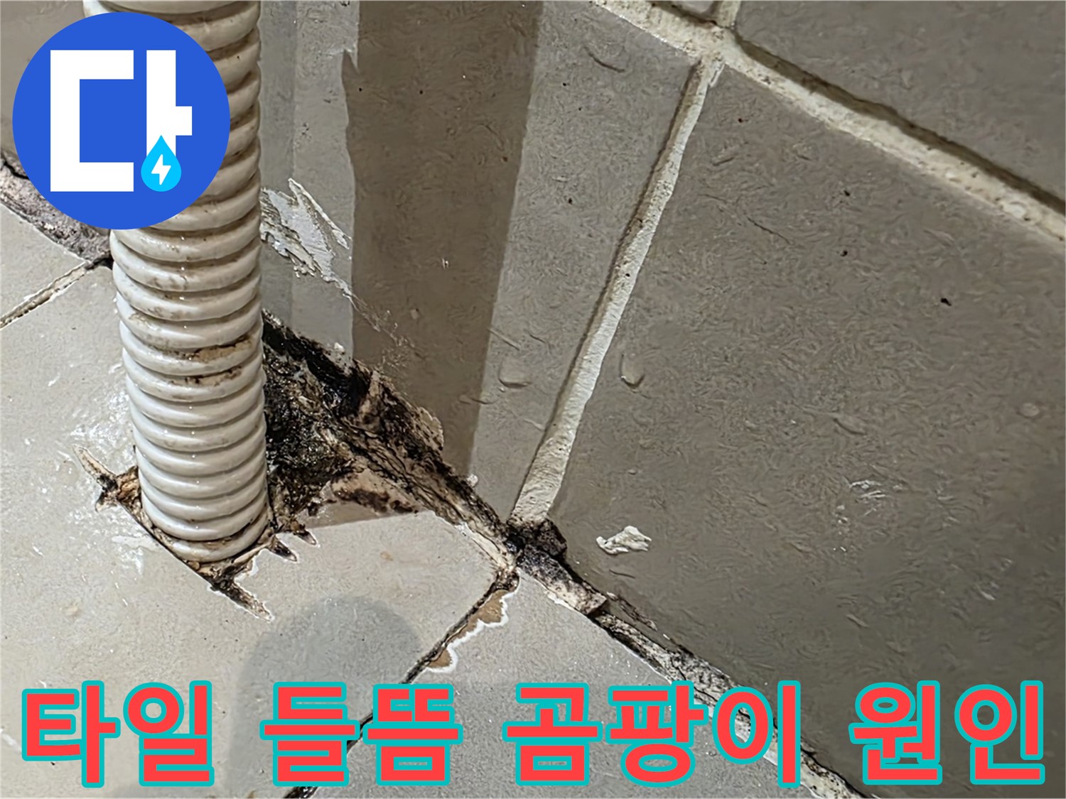 용산구 상가 화장실 누수 - 배관 주변 타일 들뜸과 곰팡이 발생 원인 분석