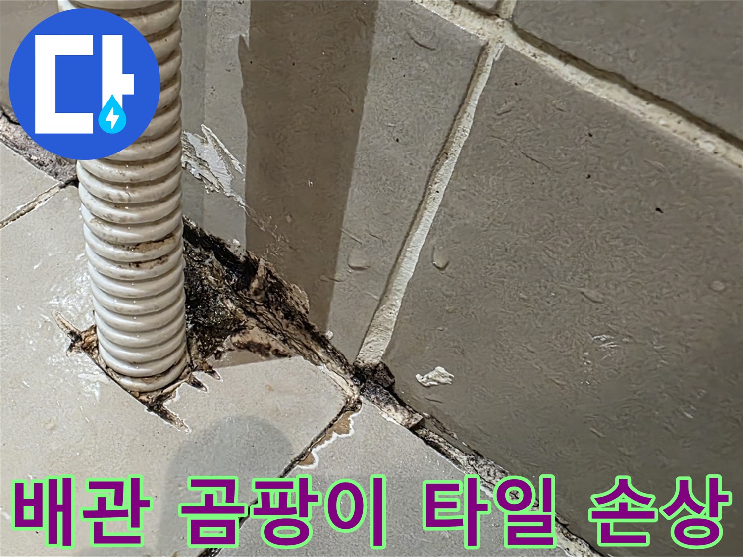 한강로2가 상가 누수 - 배관 주변 곰팡이와 타일 손상 확인