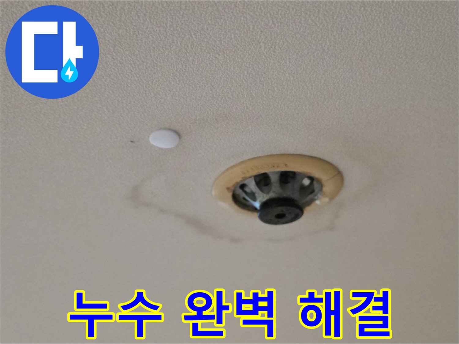 스프링클러 누수 완벽 해결 - 깨끗한 천장