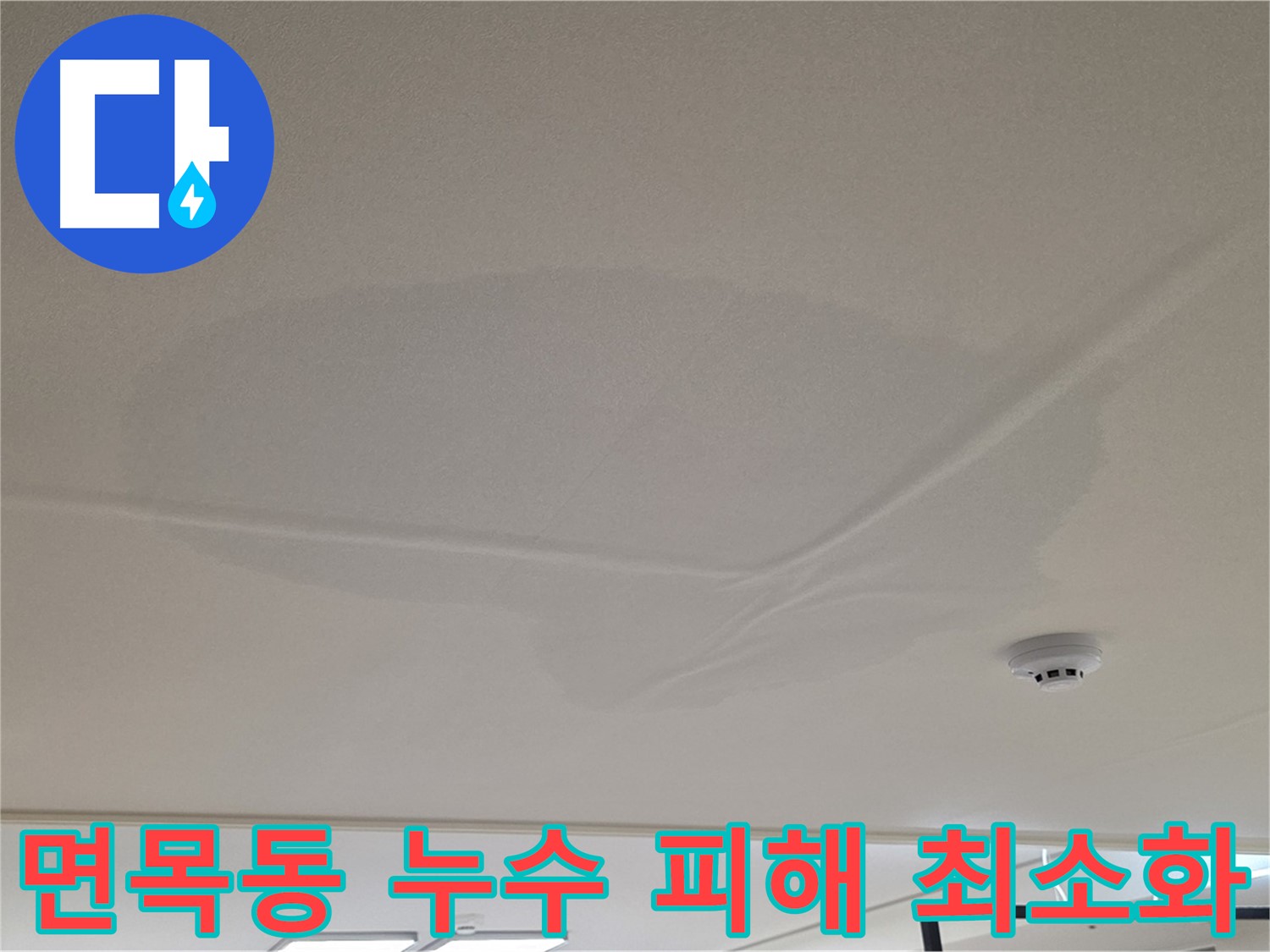 아랫집 천장 누수 - 넓은 범위 물 얼룩 - 누수 피해 최소화 작업