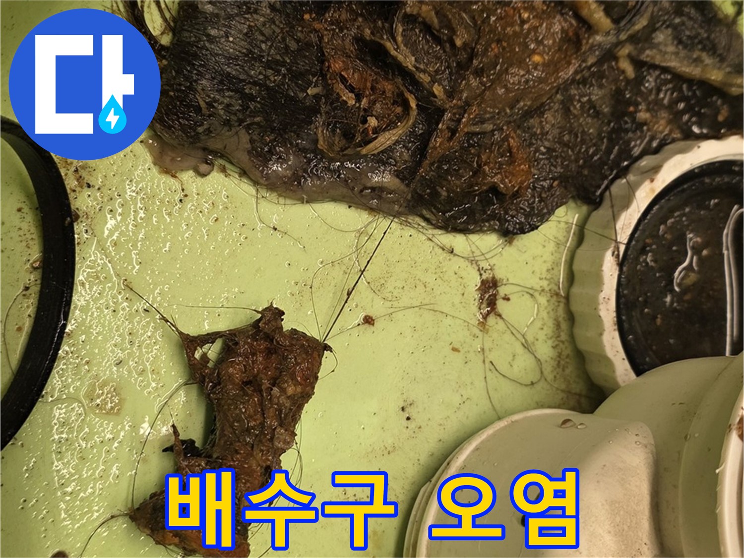 면목동 사가정 센트럴아이파크 105동 세면대 배수구 오염 - 곰팡이까지 핀 심각한 오염 상태
