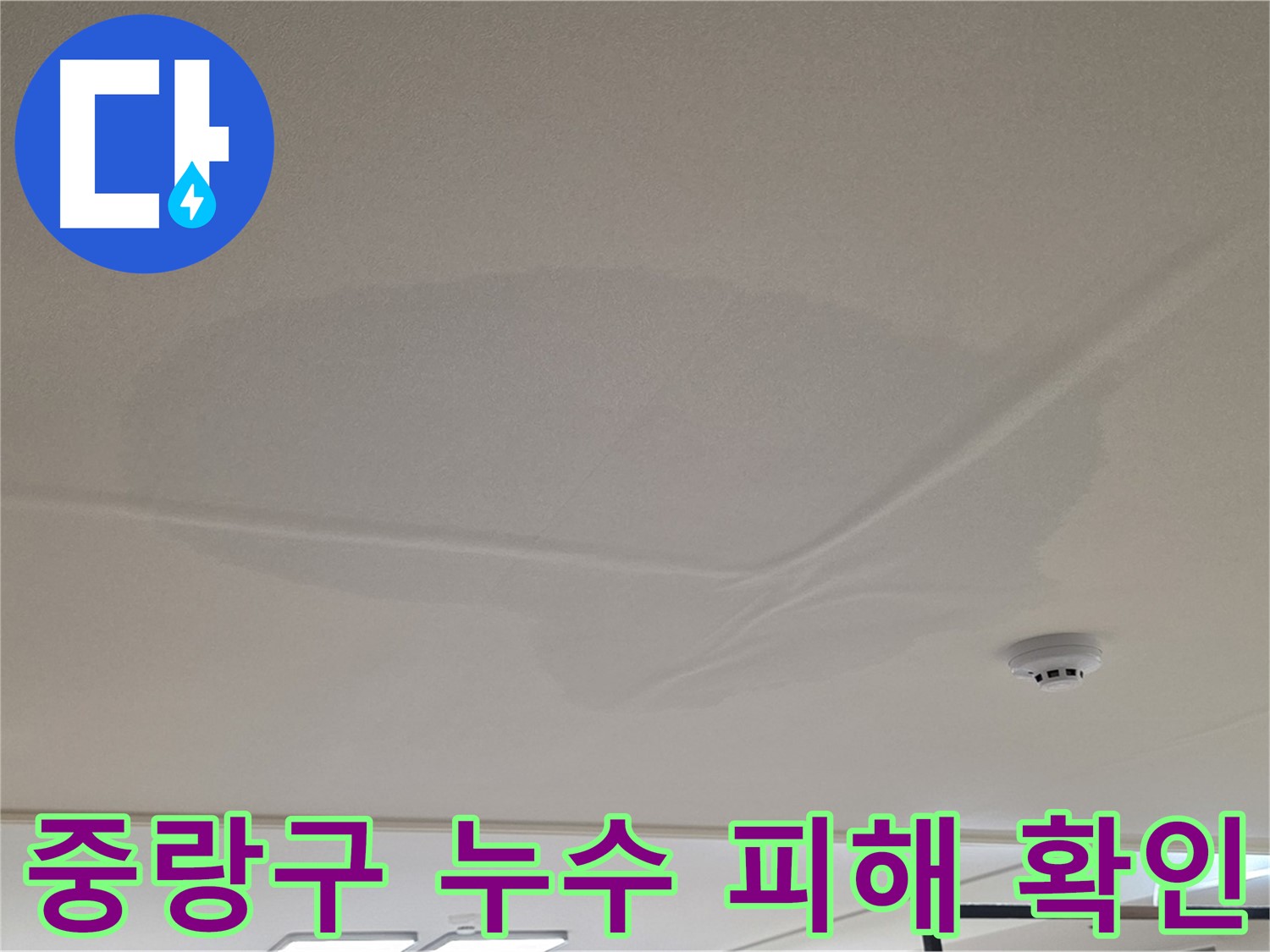 아랫집 천장 누수 - 넓은 범위 물 얼룩 - 누수 피해 상황 확인 중