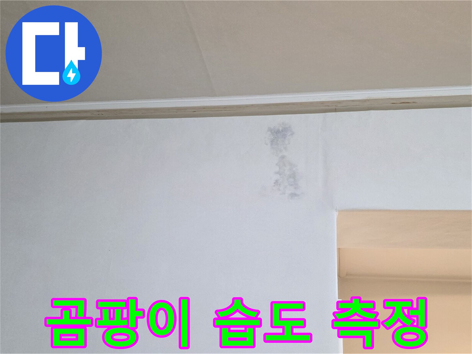 곰팡이 꽃 습도 측정 - 누수 & 습기 정밀 검사