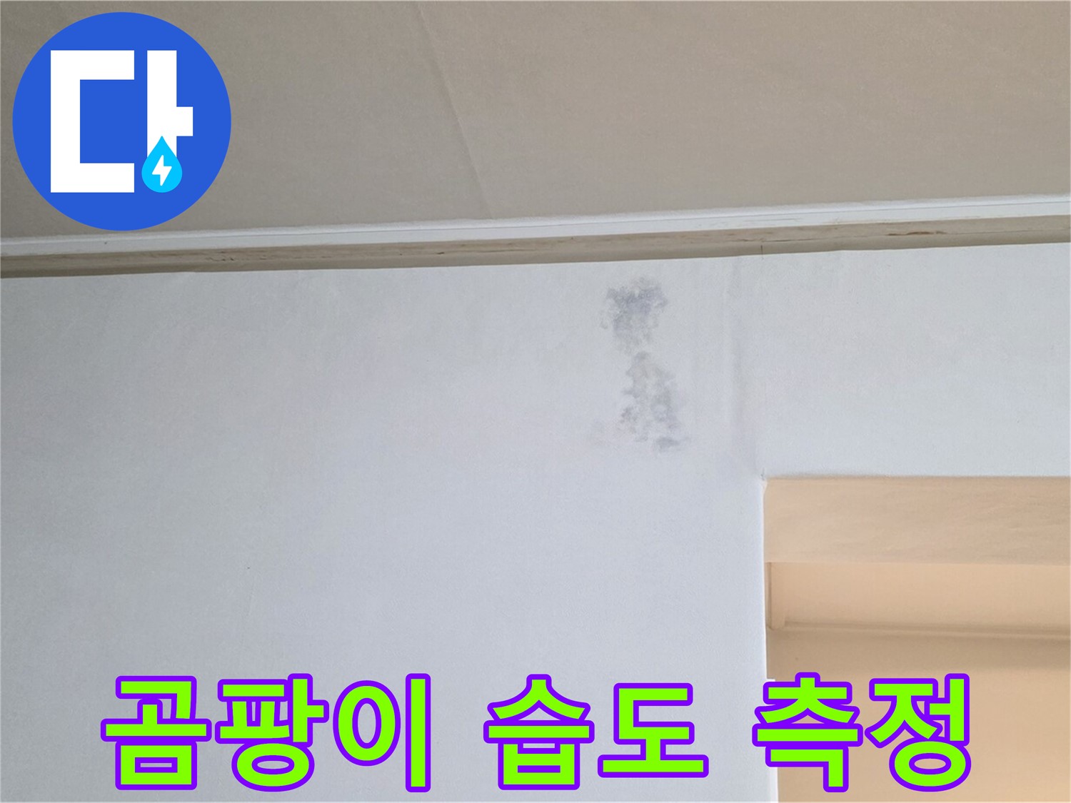 곰팡이 습도 측정 - 누수 진단 과정