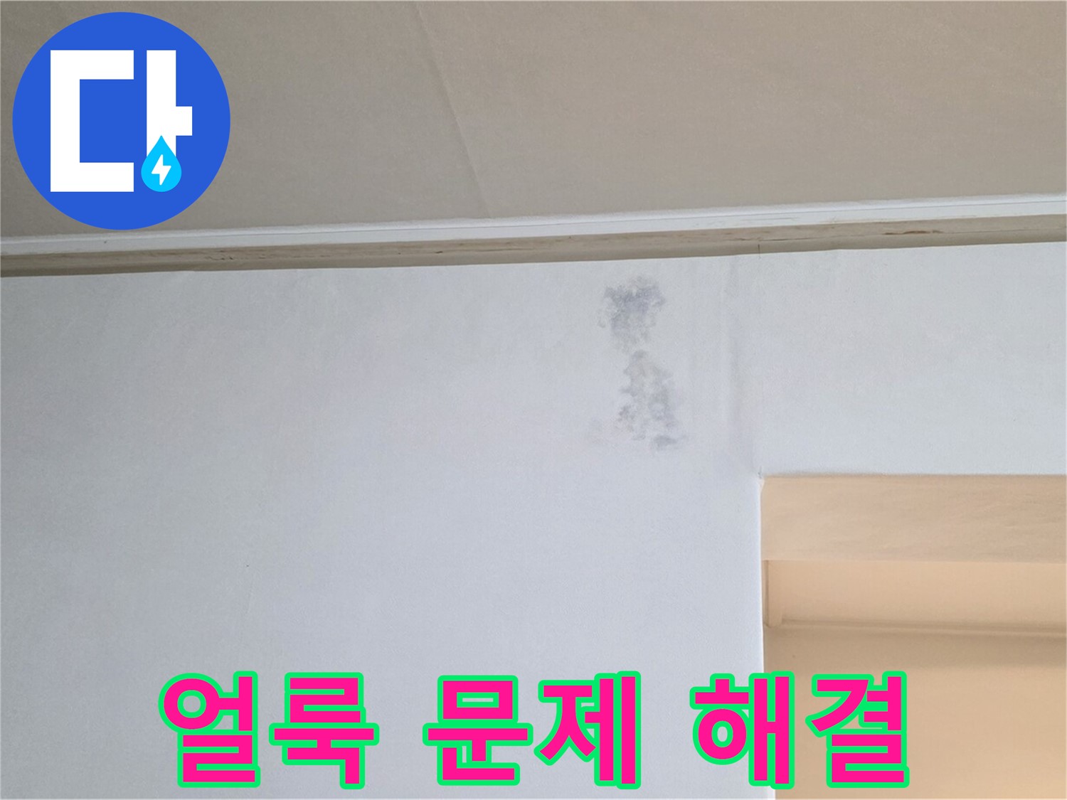 곰팡이 얼룩 문제 해결 - 건강한 보금자리 완성