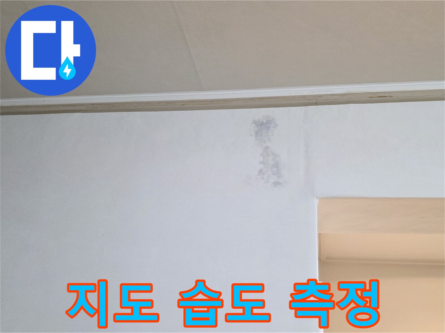 곰팡이 지도 습도 측정 - 곰팡이 & 습기 정밀 분석