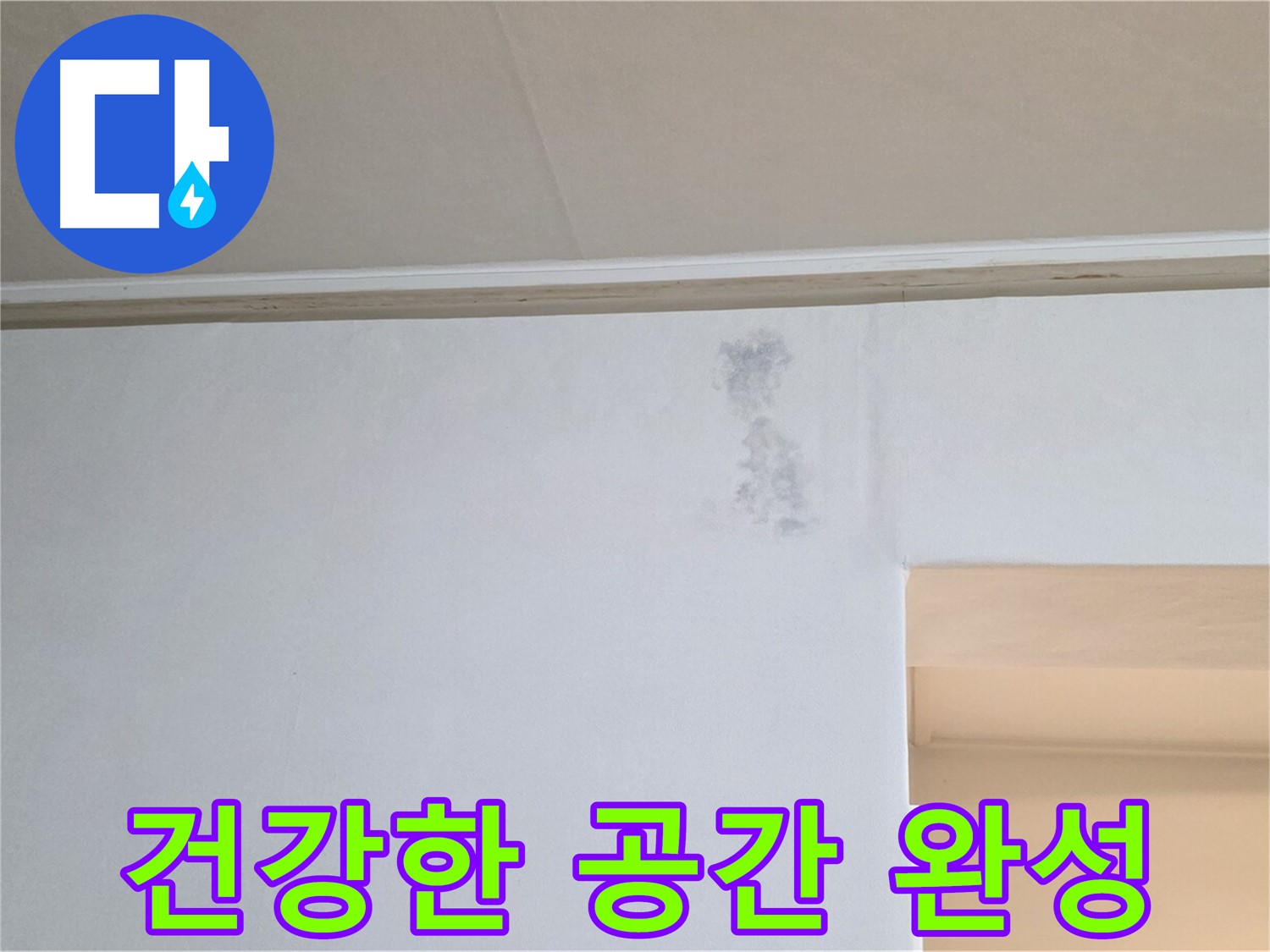 그림자 얼룩 없는 건강한 공간 - 행복한 삶으로 초대