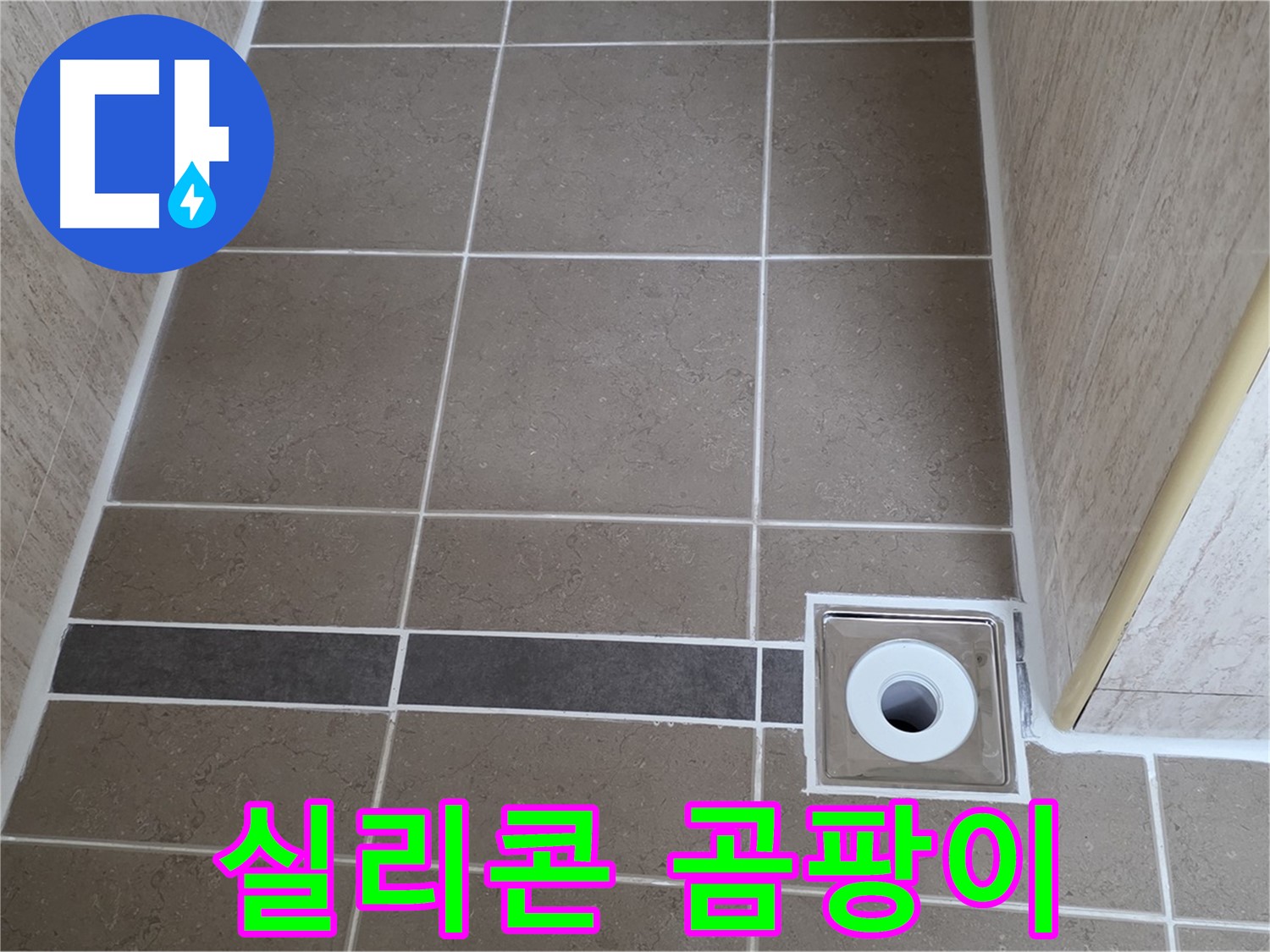 배수구 주변 실리콘 - 곰팡이