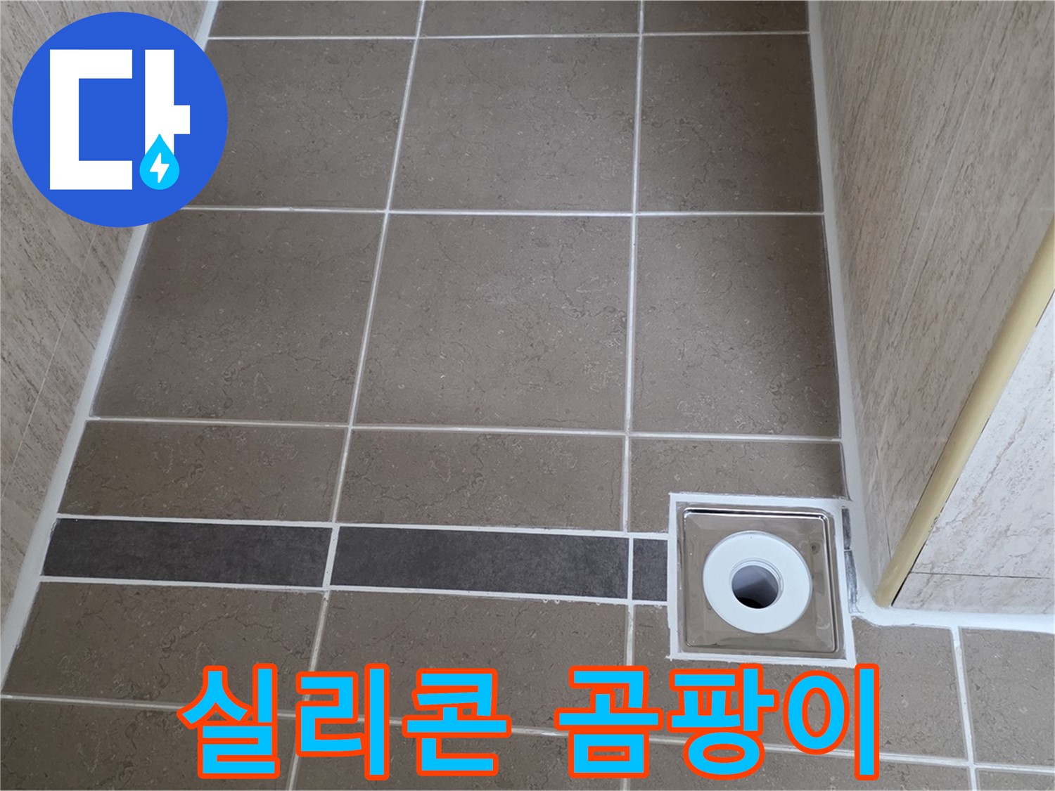 배수구 주변 실리콘 - 곰팡이