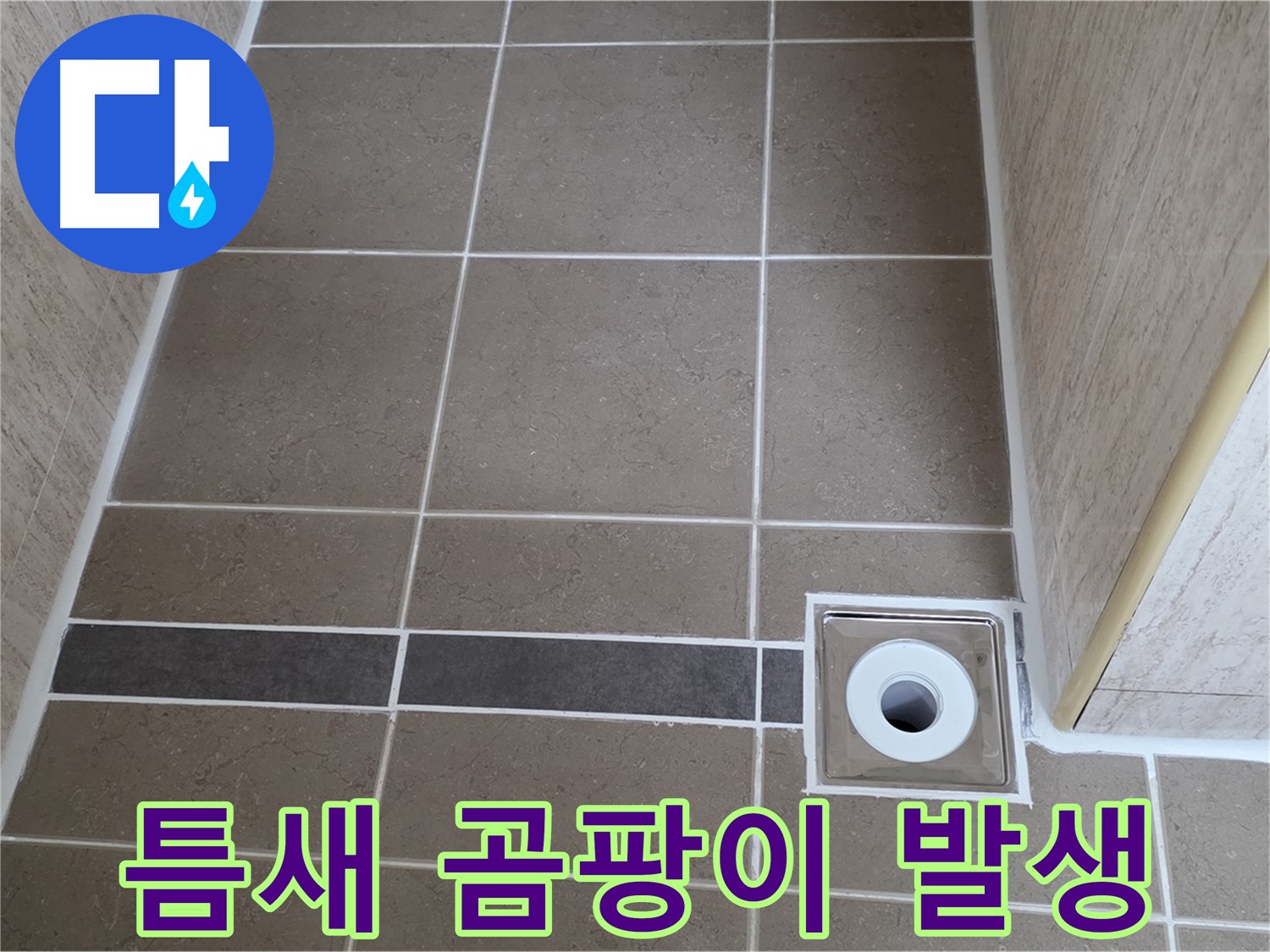 배수구 주변 타일 틈새 - 곰팡이 발생