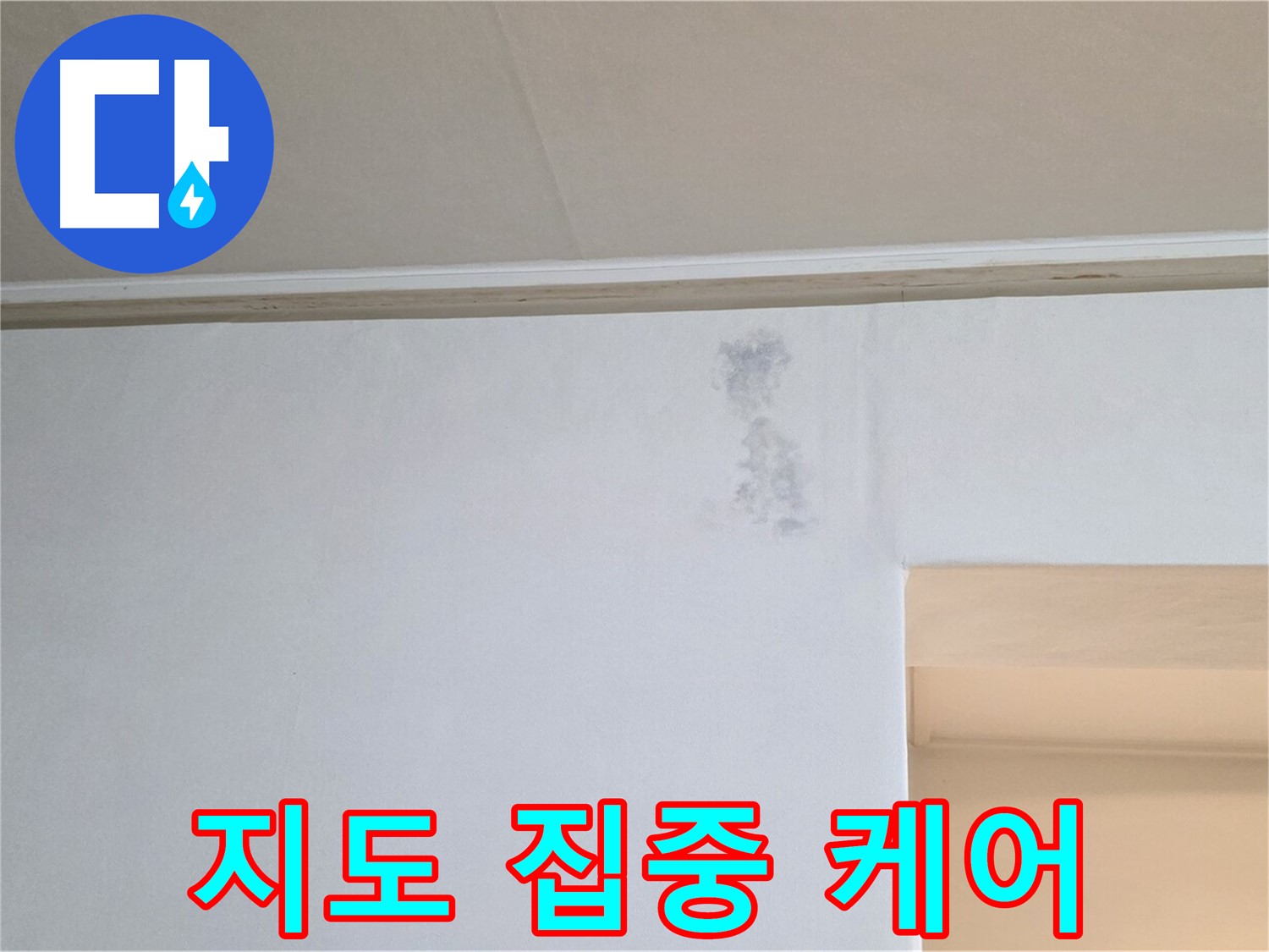 벽 곰팡이 지도 집중 케어 - 맞춤 솔루션 제공