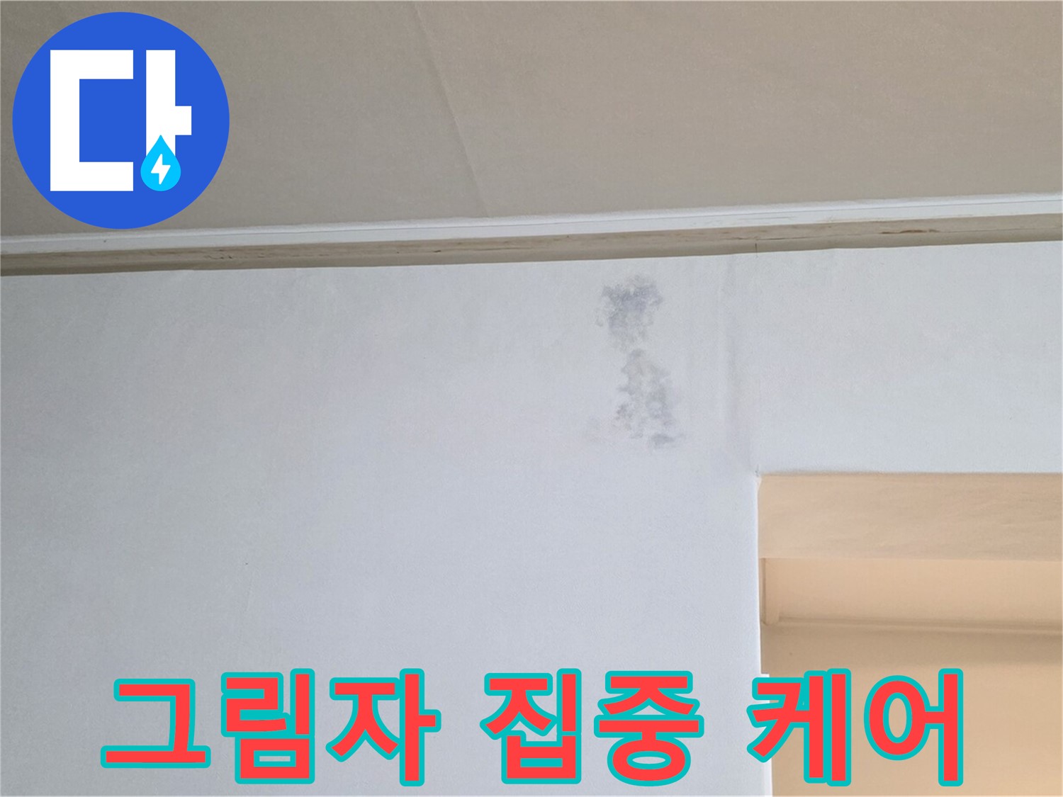 벽 그림자 집중 케어 - 맞춤 솔루션 제공