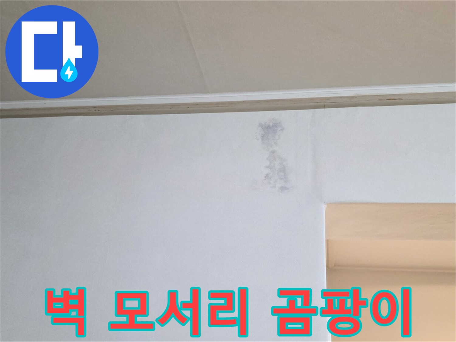 벽 모서리 검은 그림자 - 곰팡이? 누수 의심?