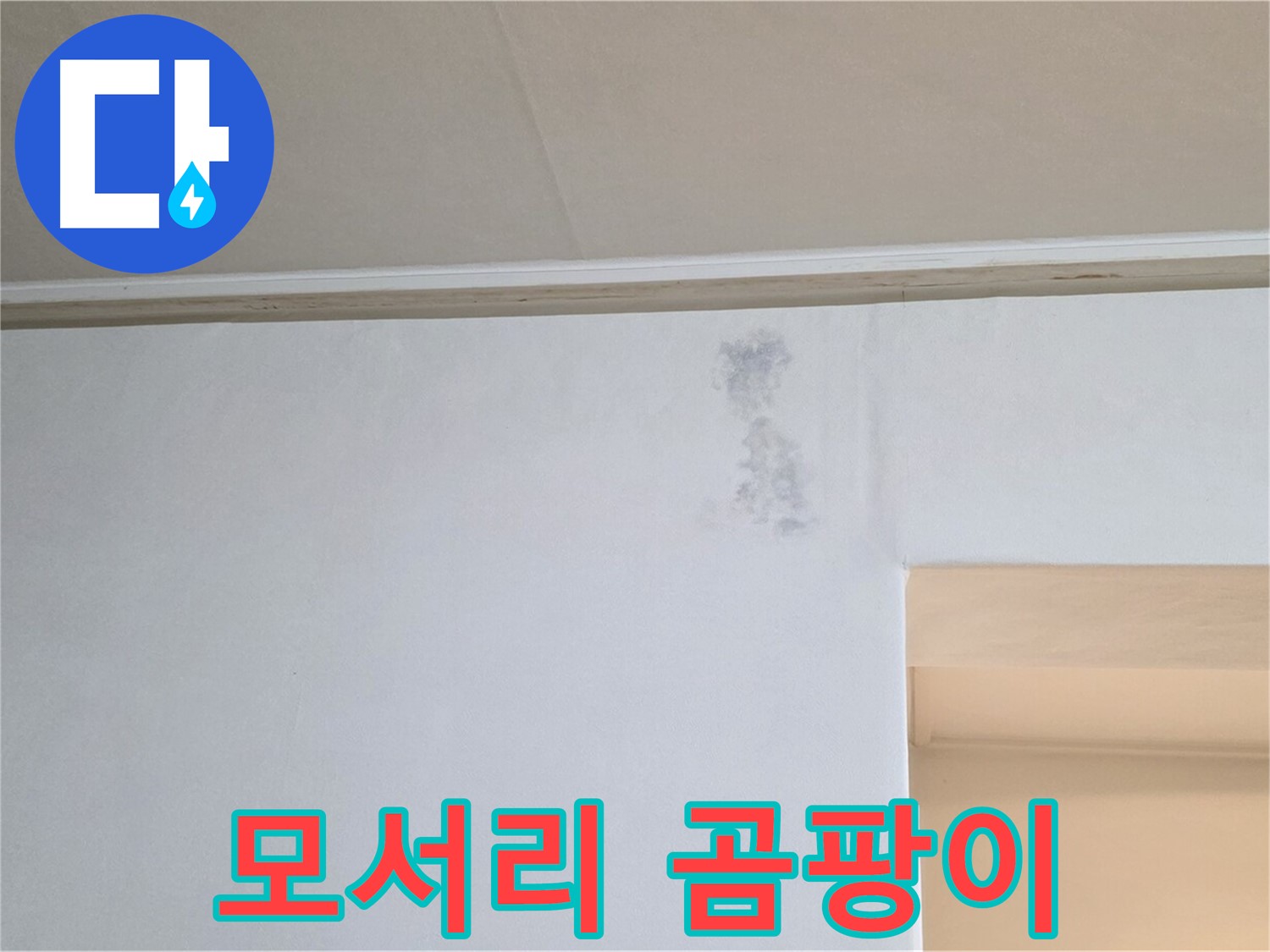 벽 모서리 곰팡이 - 누수 의심 신호
