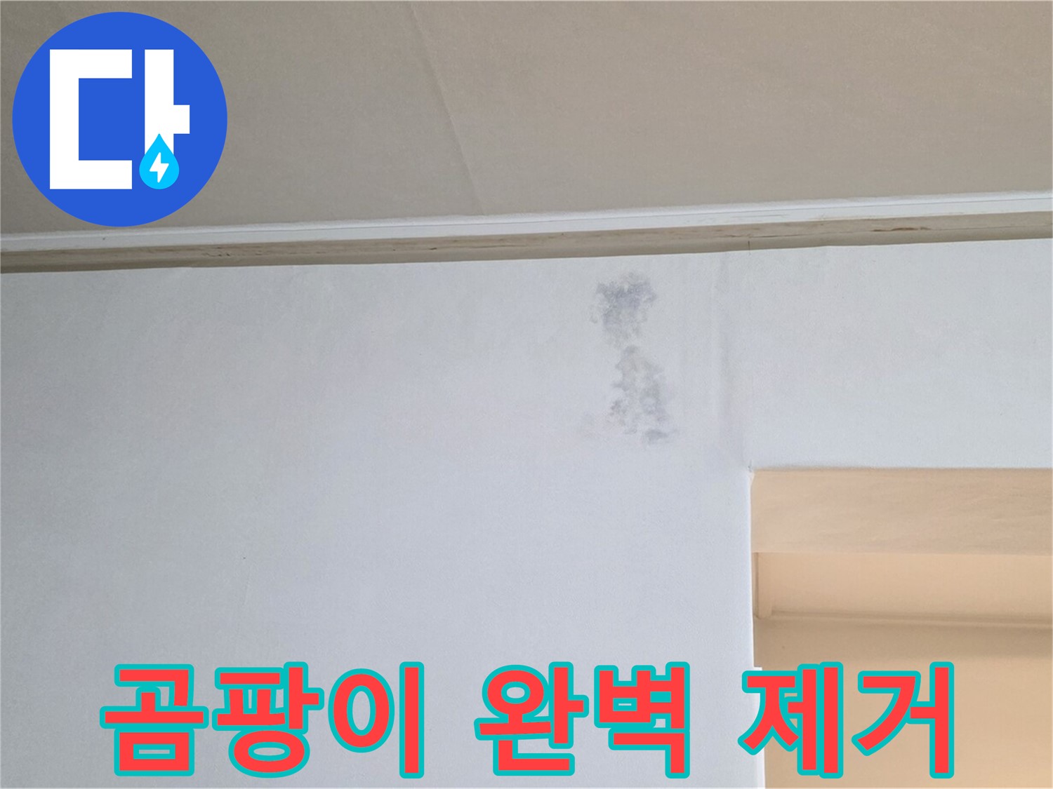 벽 모서리 곰팡이 제거 - 깨끗한 벽 완성