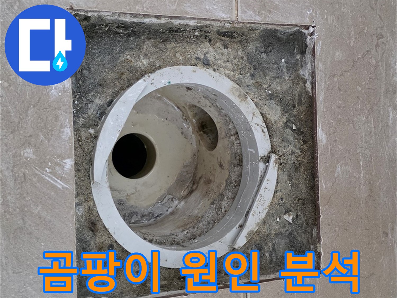 일동 기산베스트빌 아파트 화장실 하수구 누수 - 곰팡이 발생 원인 분석 작업