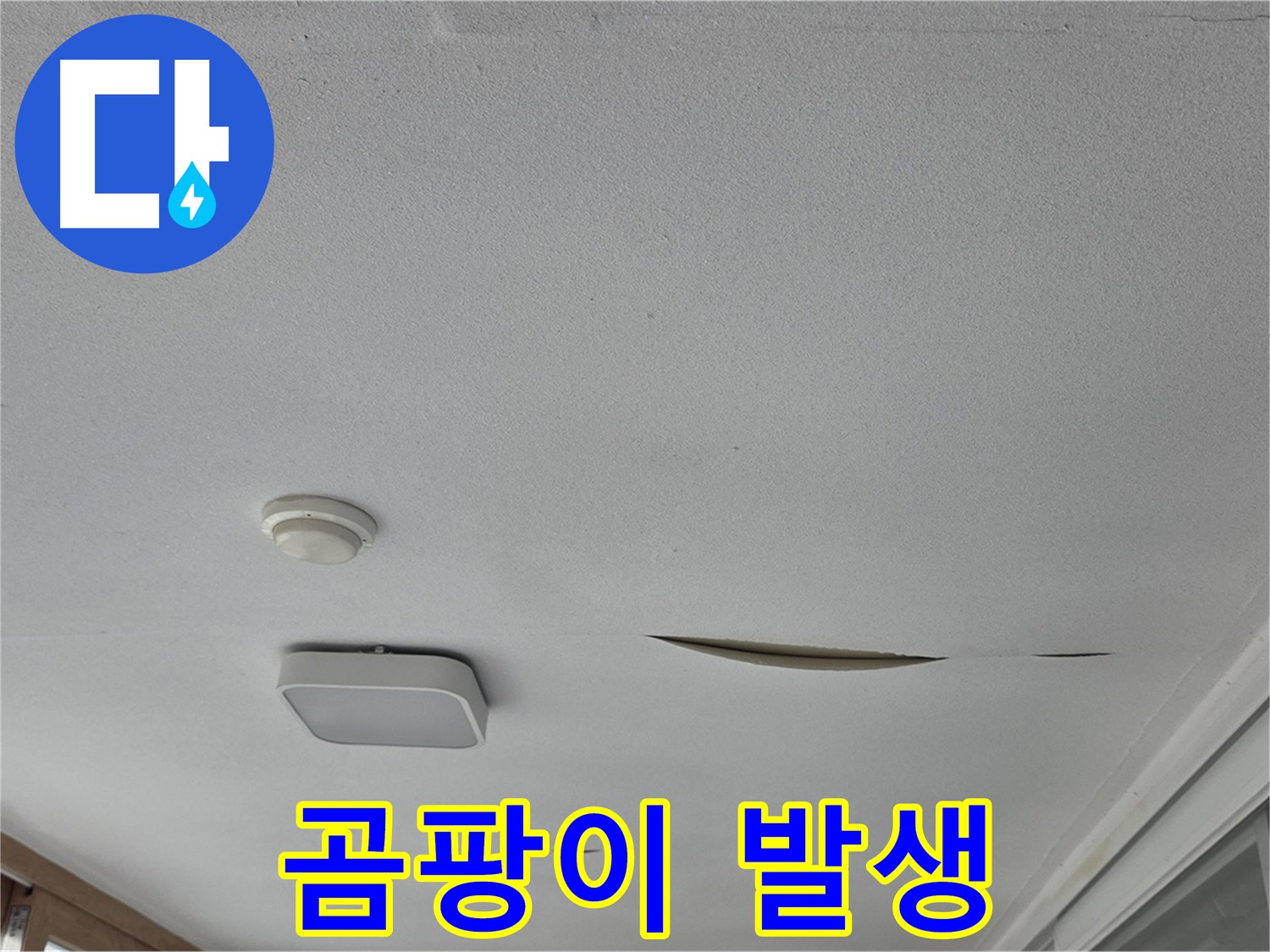 일동 아파트 - 천장 누수 석고보드 곰팡이 발생 - 긴급 점검 및 해결