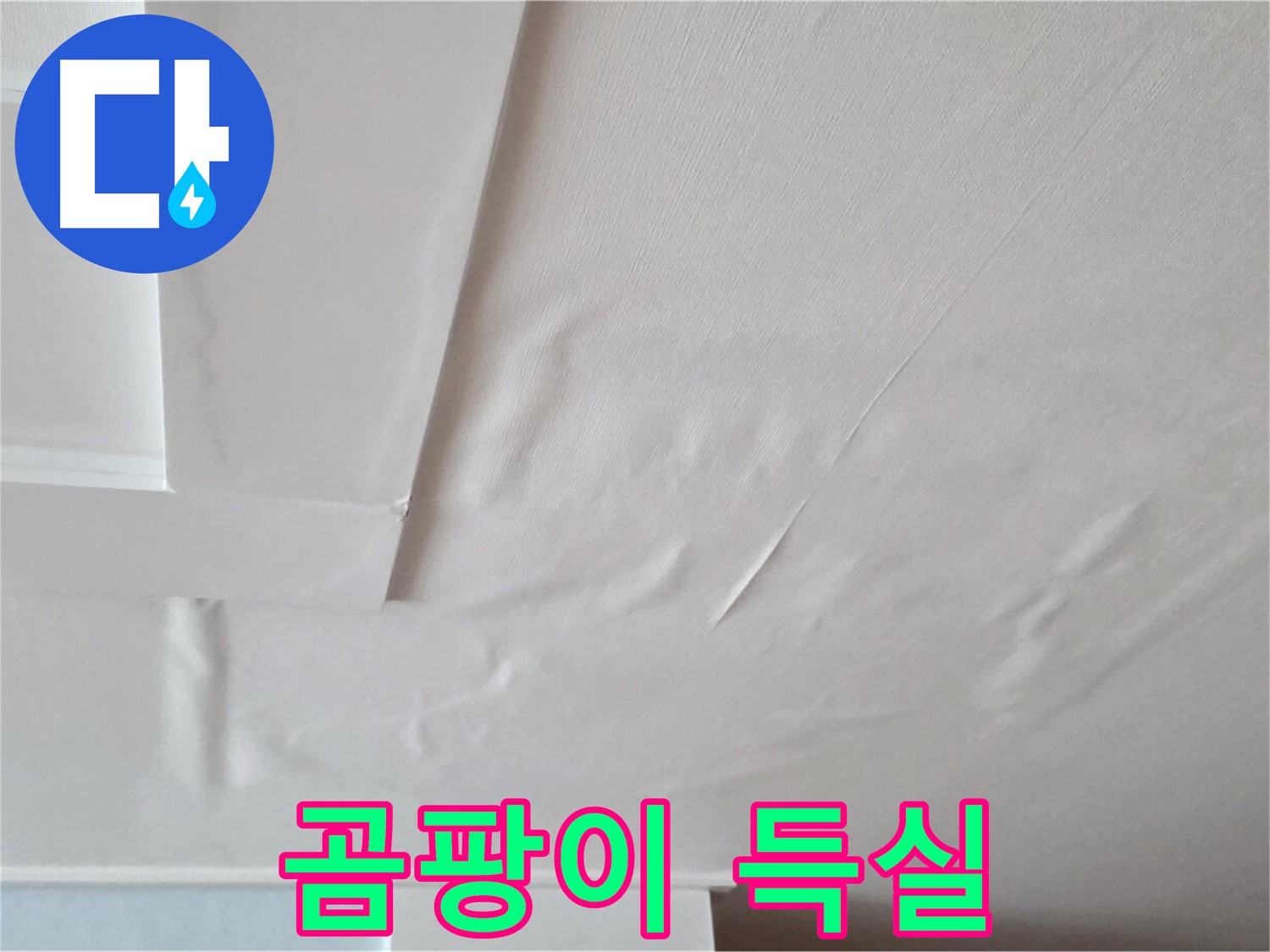 일동기산베스트빌 아파트 천장 누수 - 곰팡이 득실거리는 천장 - 면역력 저하 - 잔병치레