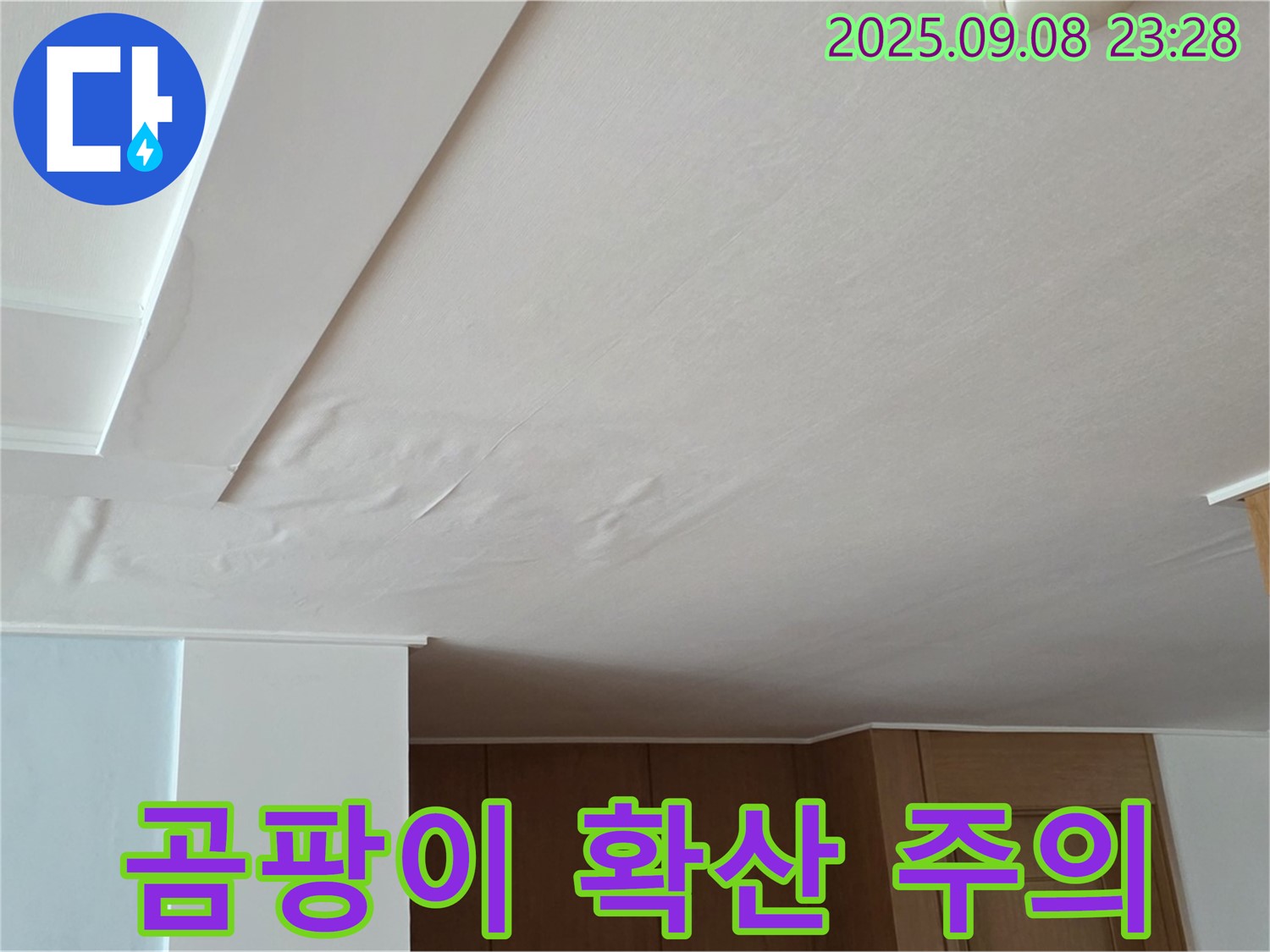 일동면 기산리 아파트 누수 - 젖은 천장, 곰팡이 확산되기 전에 서둘러 해결하세요