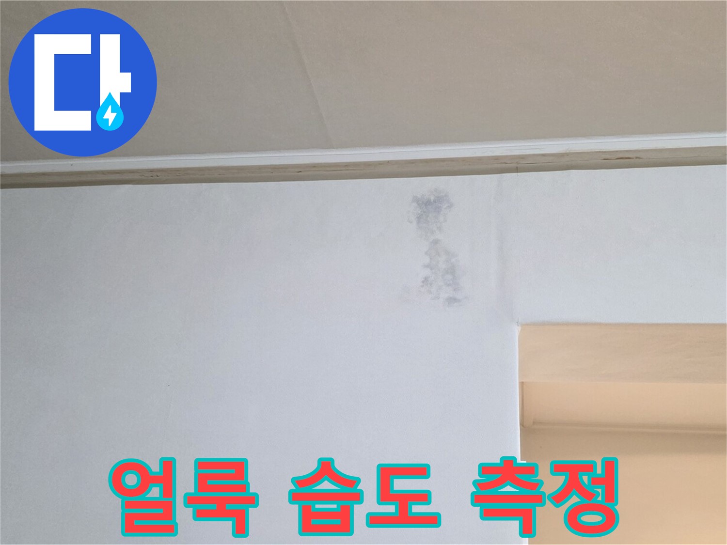 잿빛 얼룩 습도 측정 - 누수 & 곰팡이 정밀 과학 검사